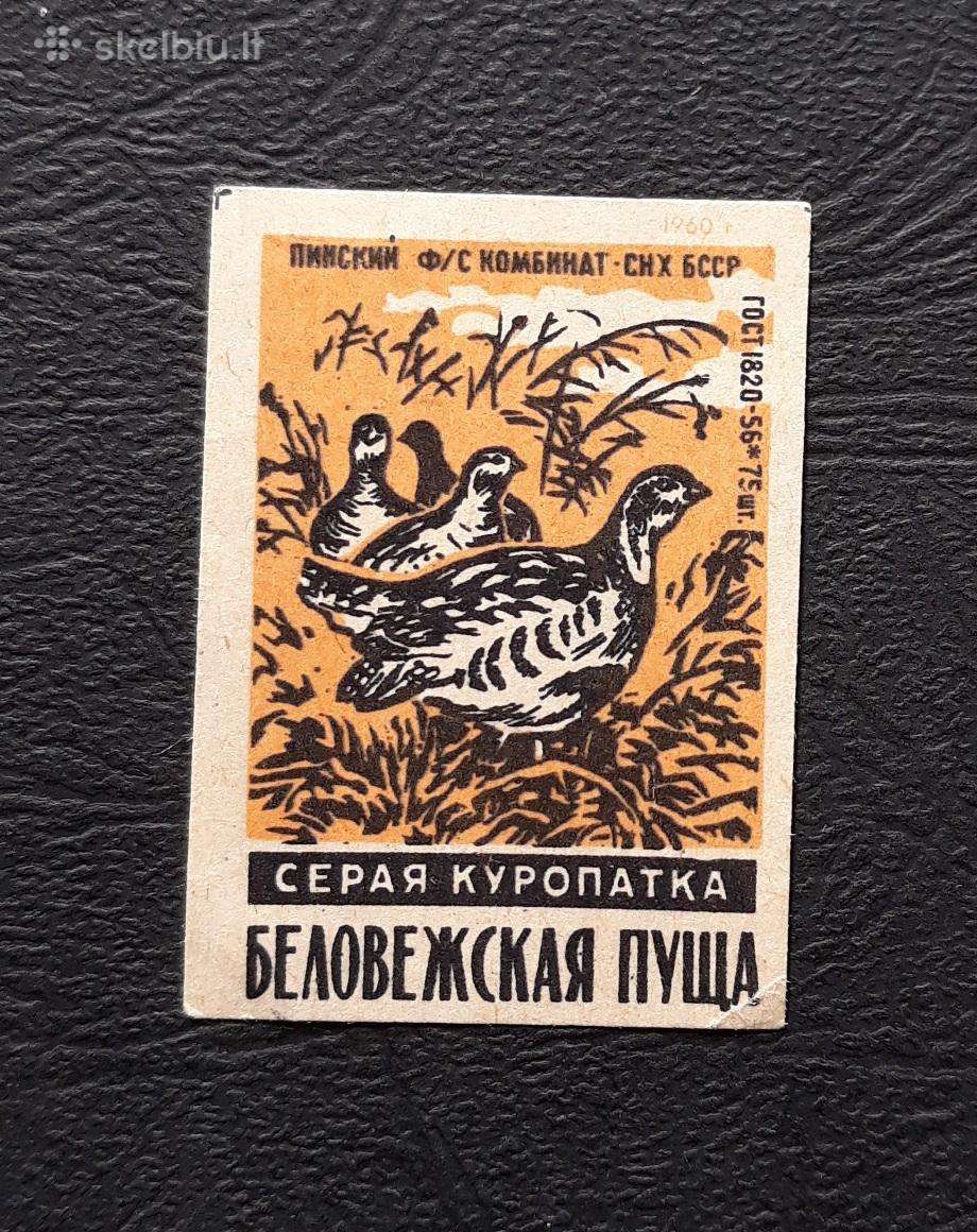 Degtukų etiketė 1960 Wildlife 082