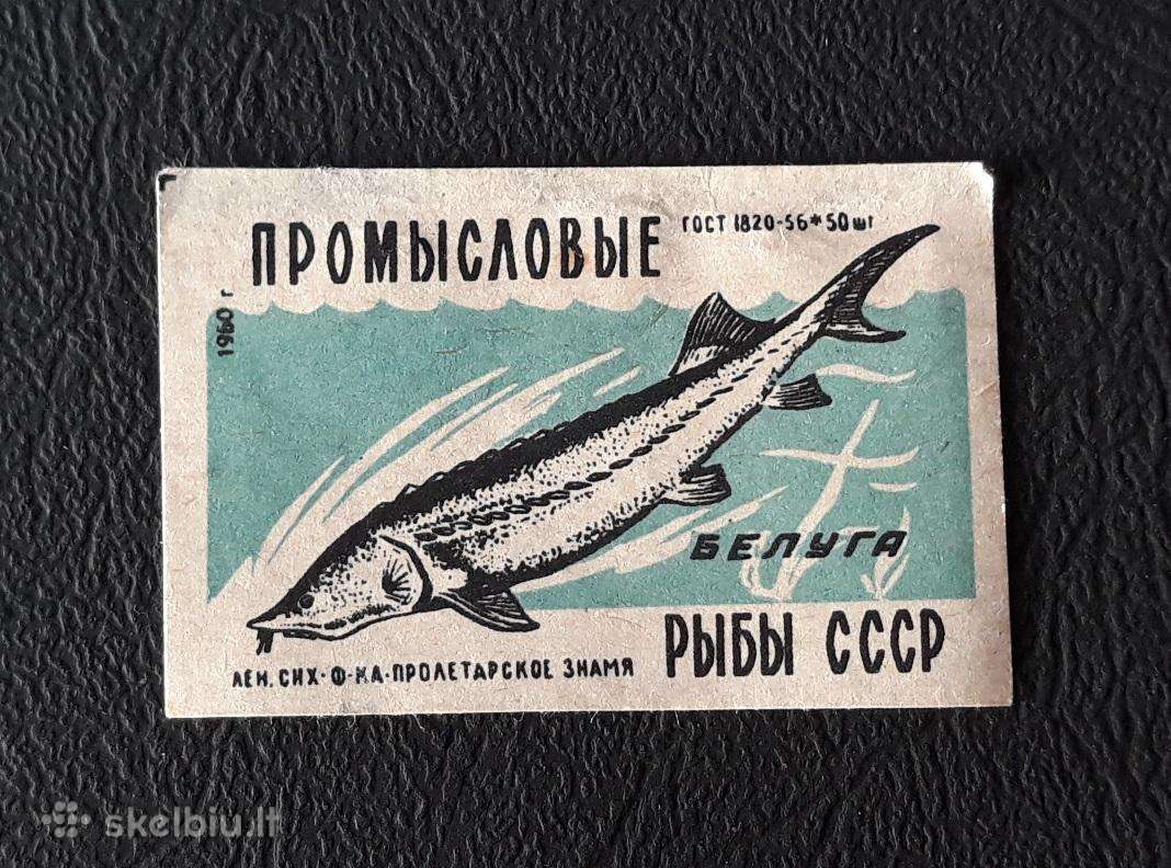 Degtukų etiketė 1960 Wildlife 085