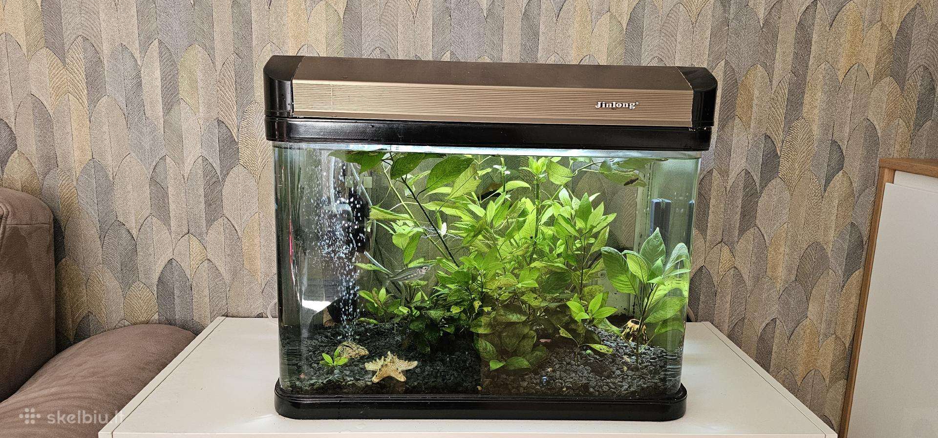 Akvariumas 80 L