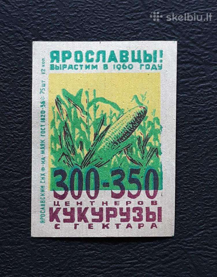 Degtukų etiketė 1960 Kukurūzai 069
