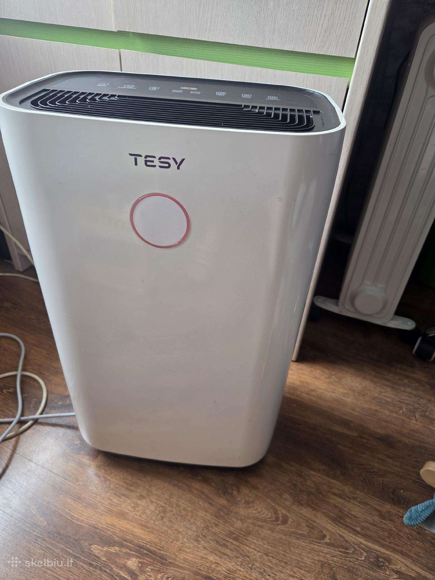 Tesy