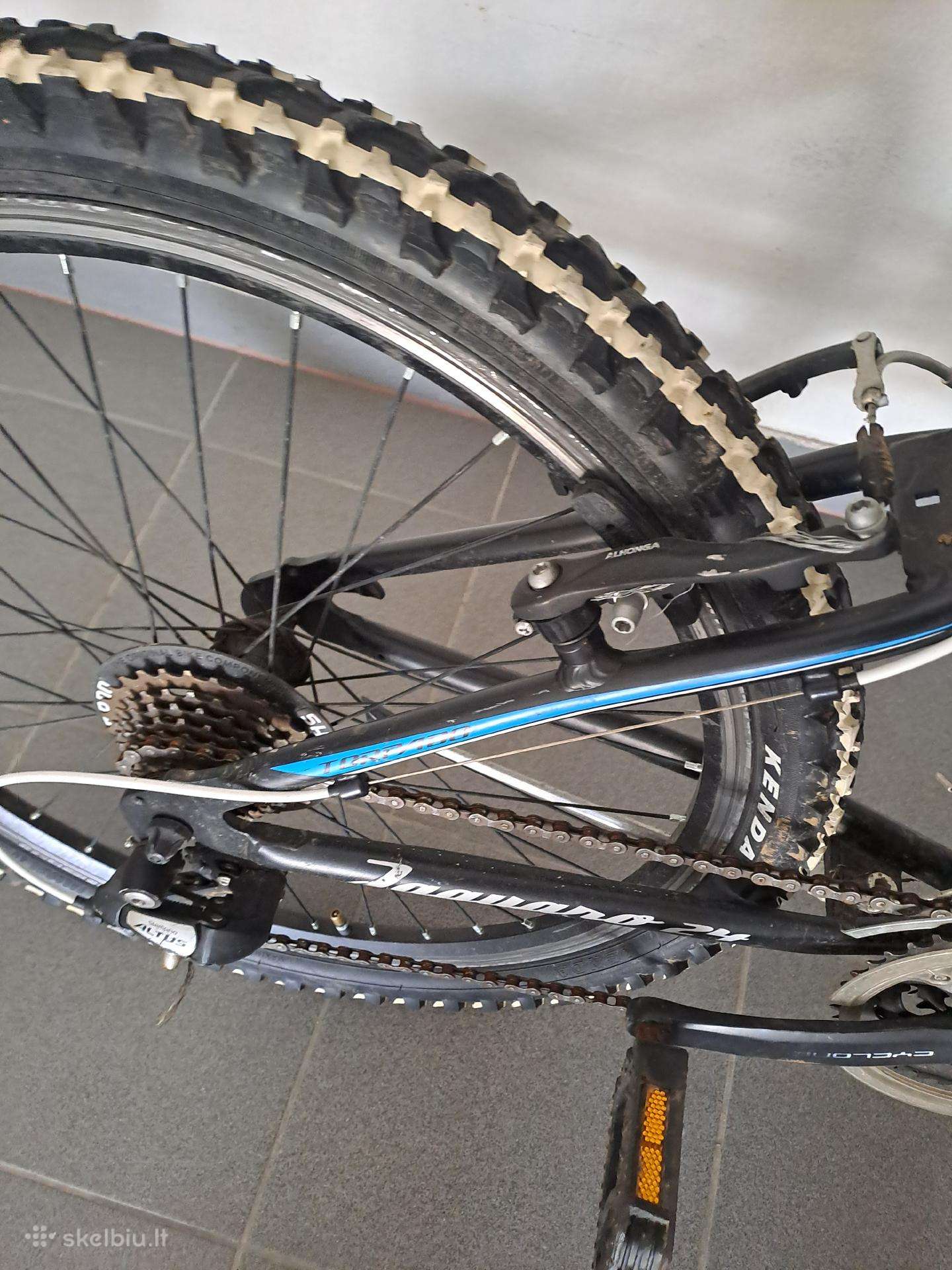 Kalnu dviratis junior MTB