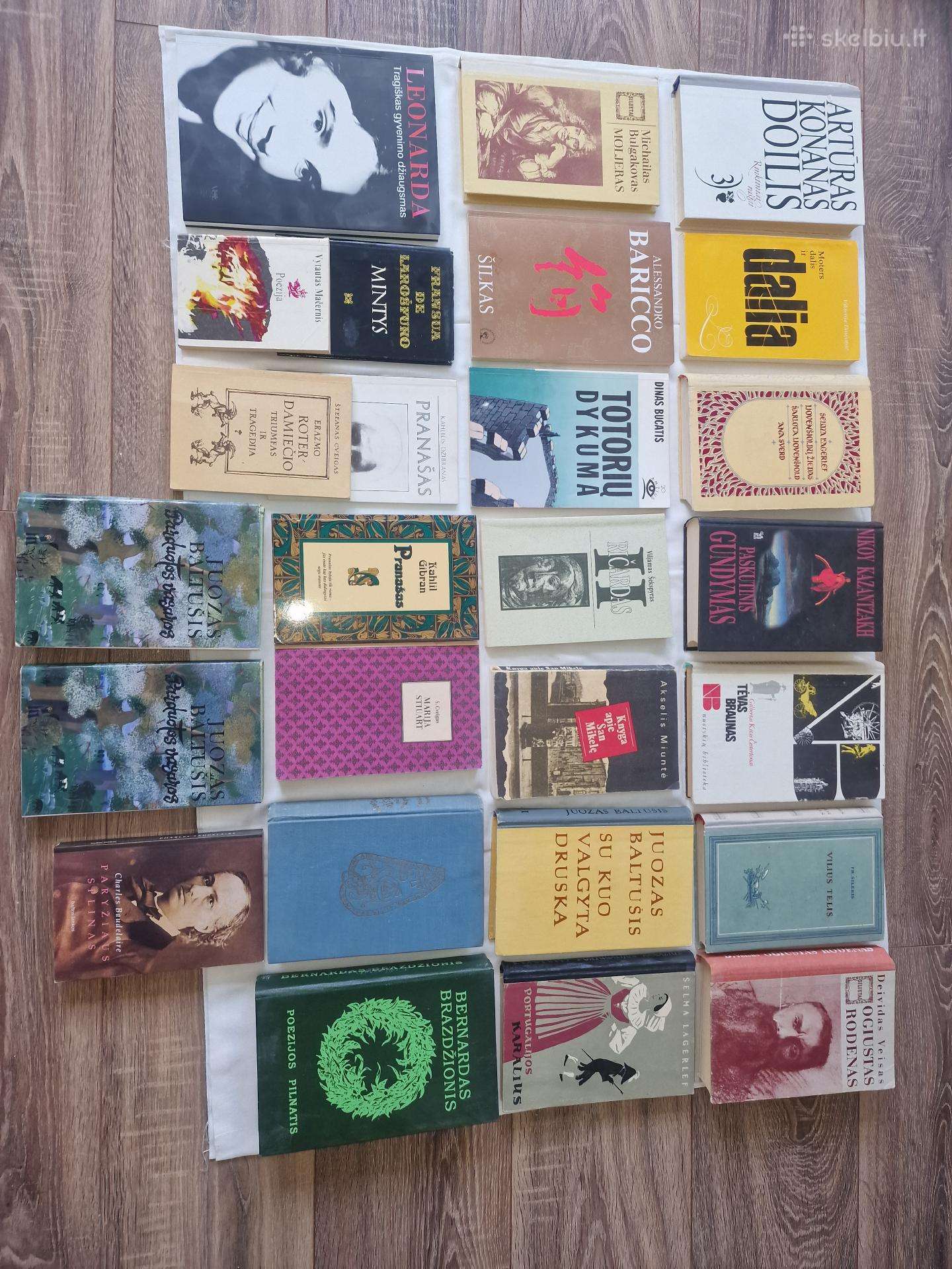 Pasaulinės ir lietuvių literatūros klasika.