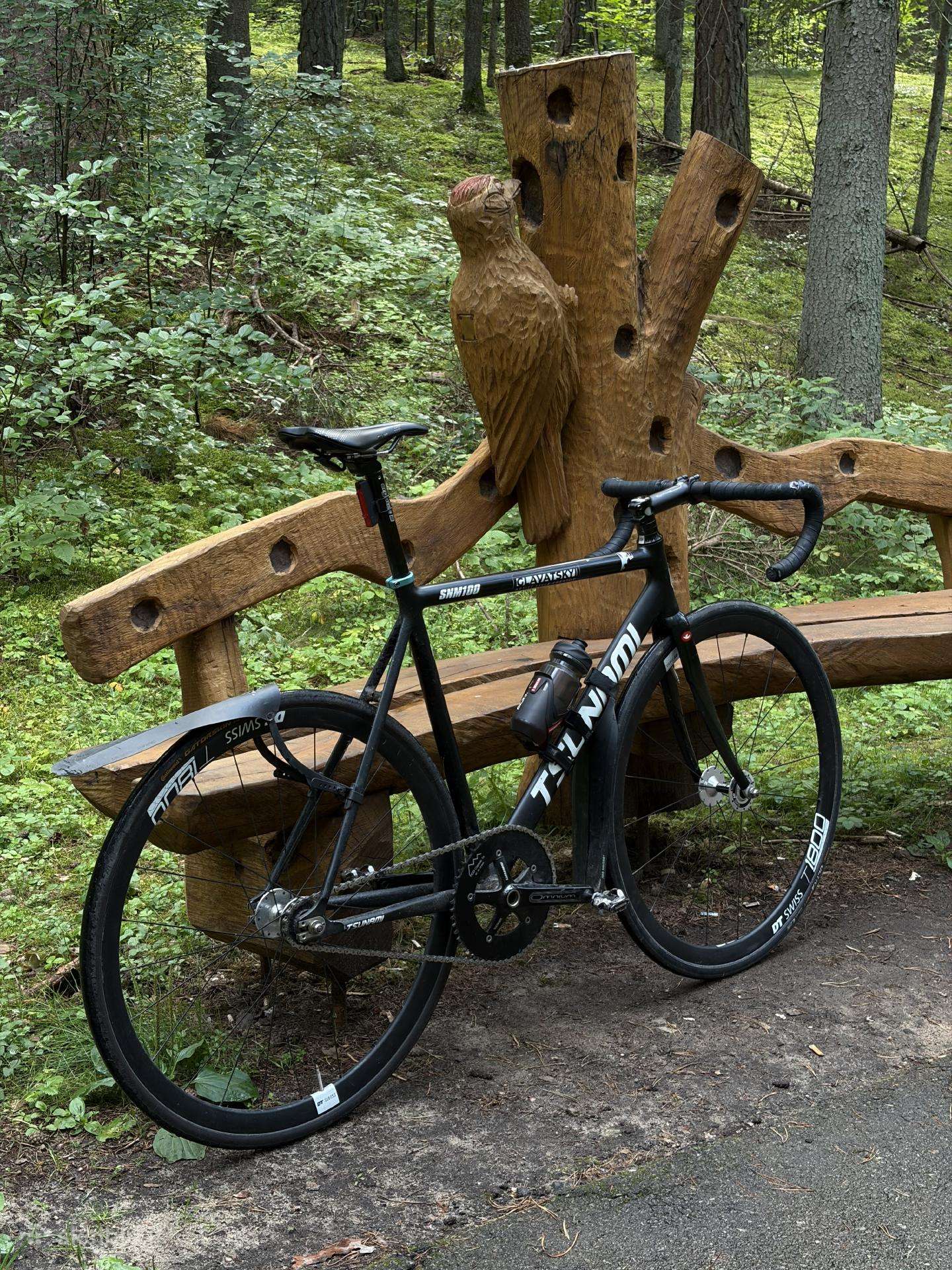 Fixed Gear dviratis