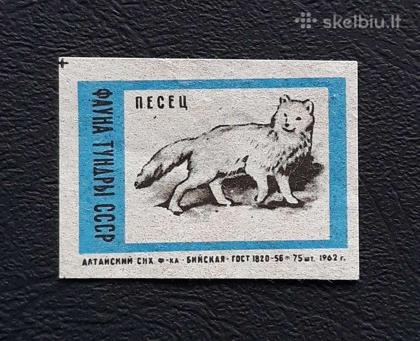 Degtukų etiketė 1962 Wildlife 16-1