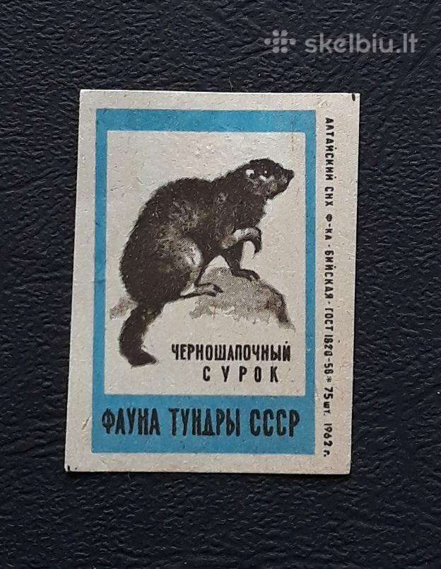 Degtukų etiketė 1962 Wildlife 16-2