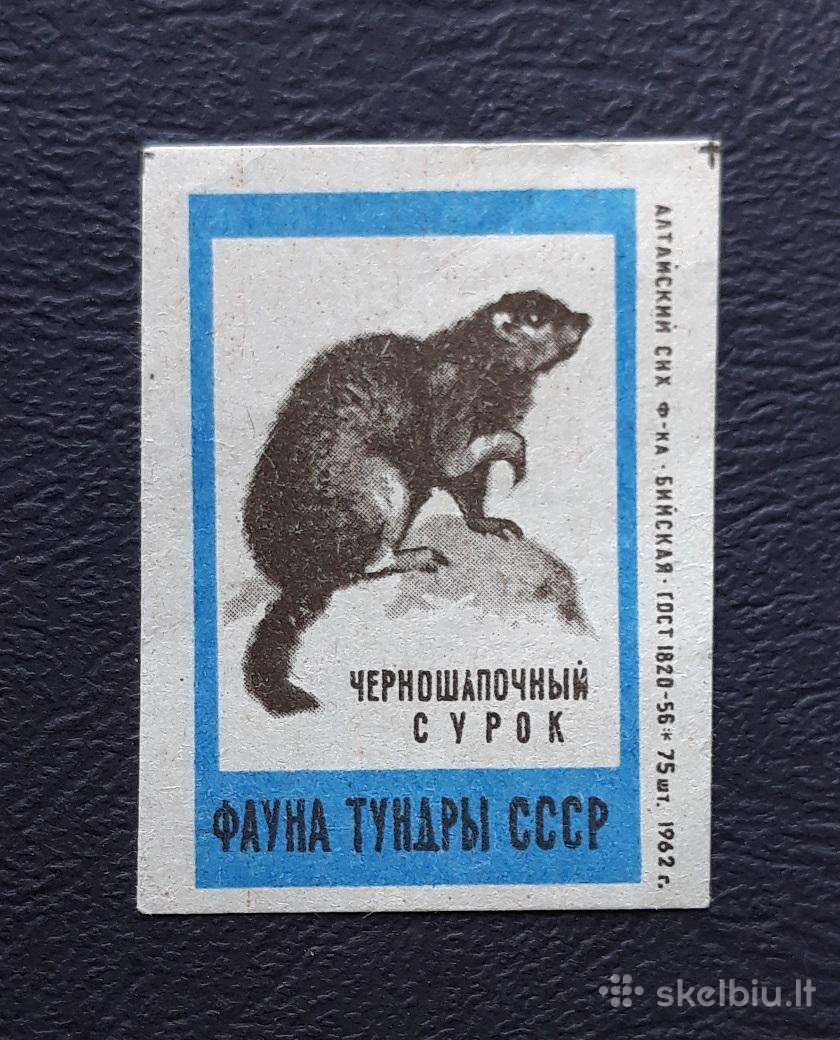 Degtukų etiketė 1962 Wildlife 16-3