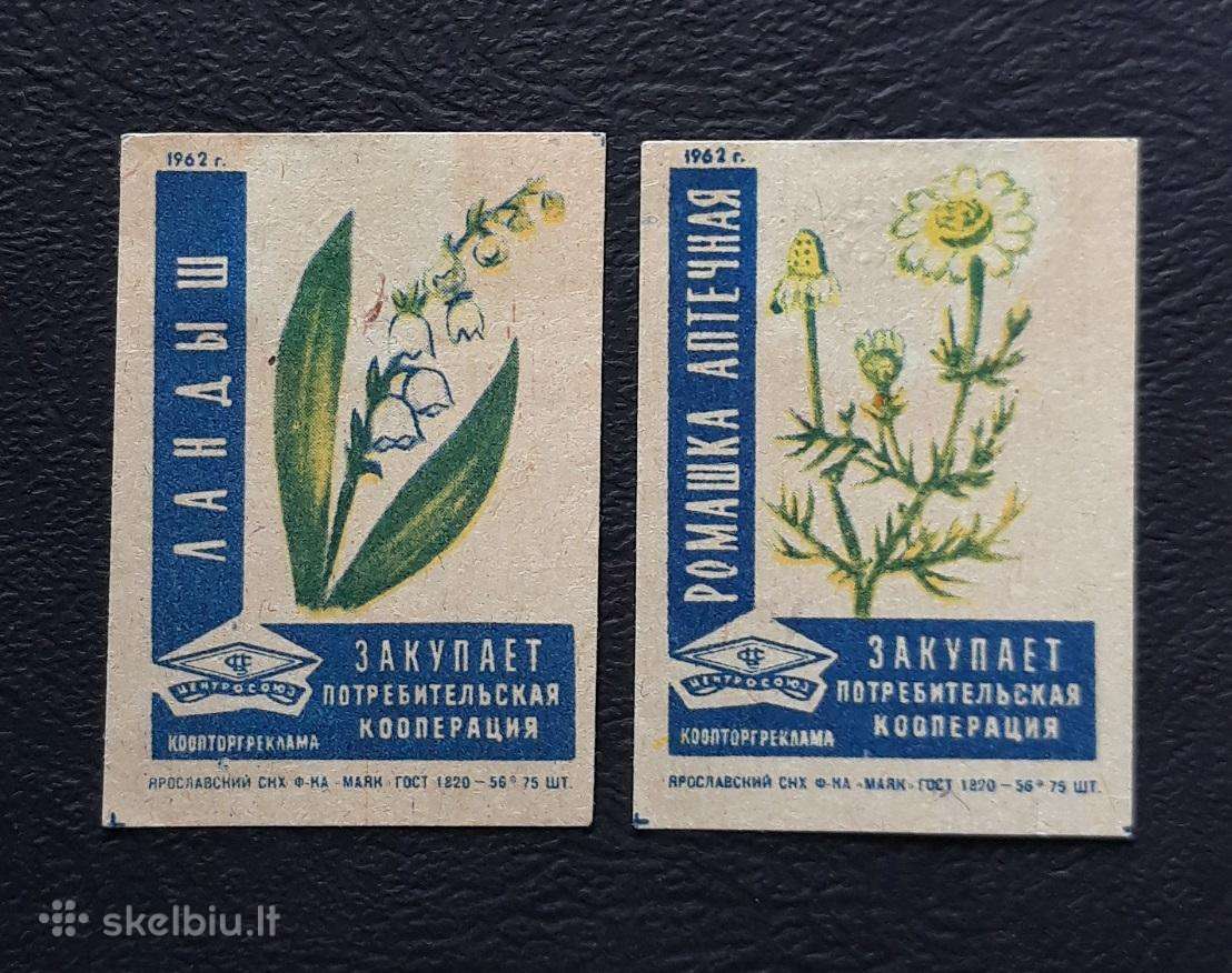 Degtukų etiketė 1962 Gėlės 022 2vnt