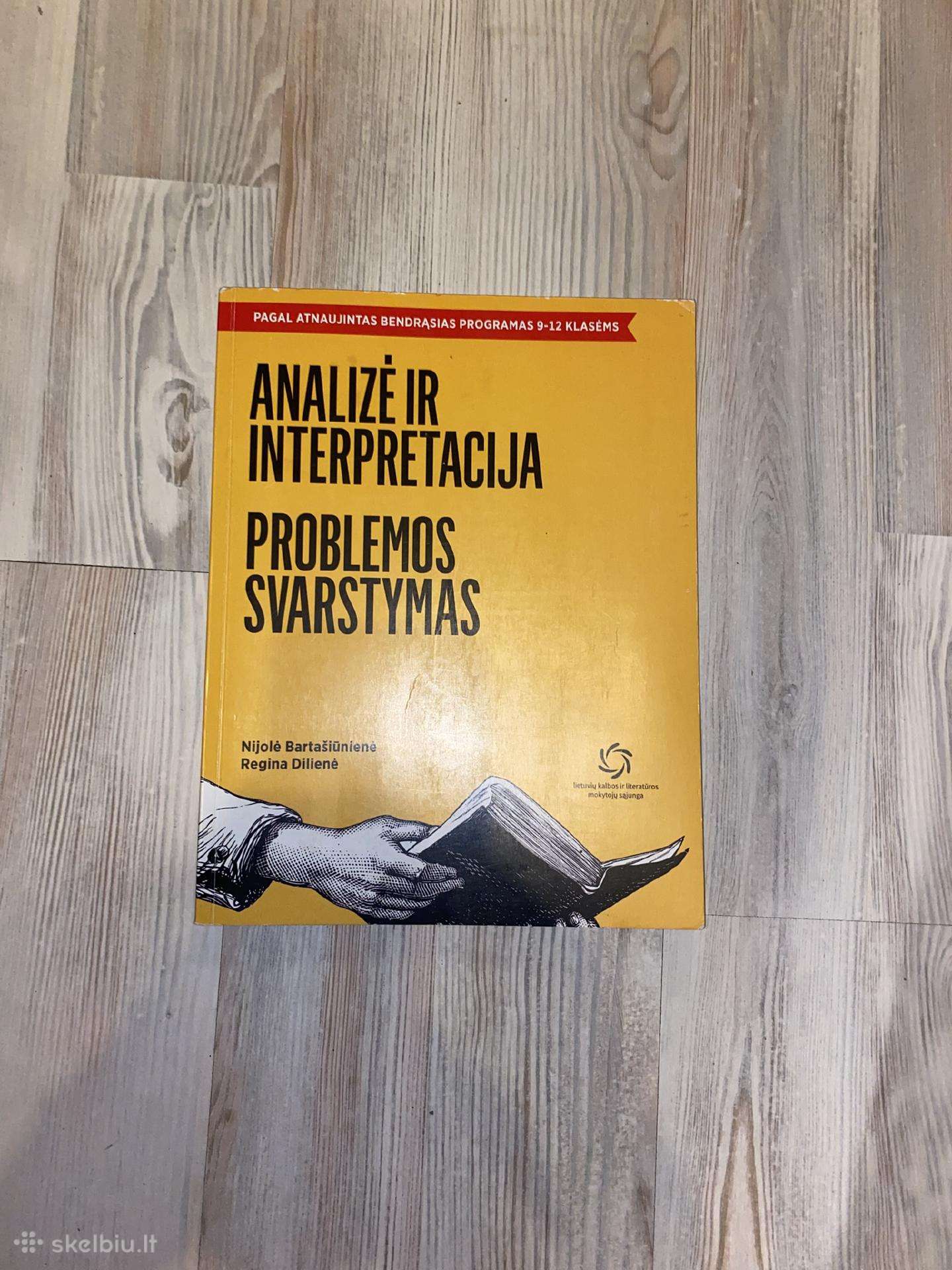 Analizė ir interpretacija; problemos svarstymas