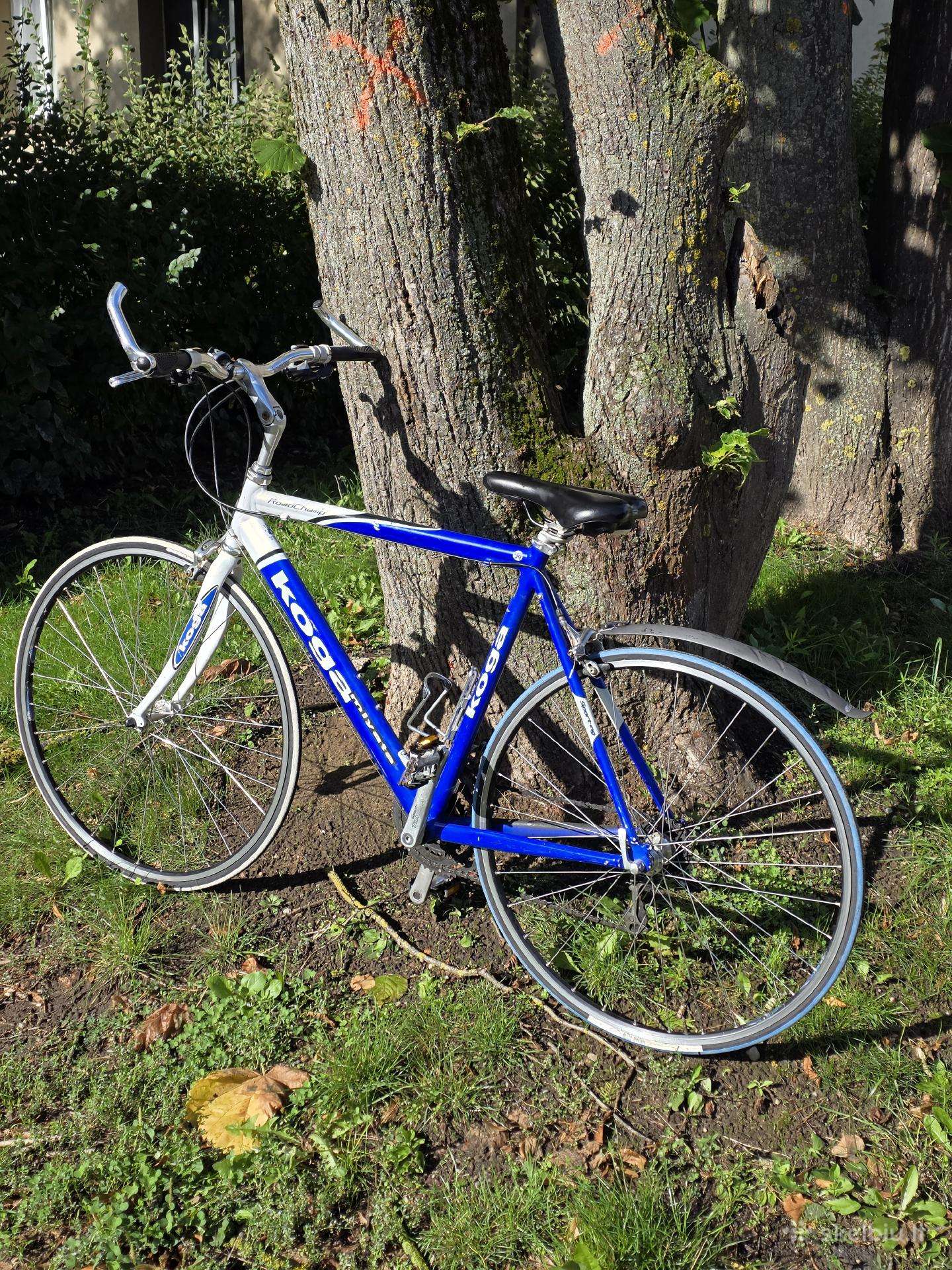 Fitness dviratis Koga Miyata Roadchamp (56 cm)
