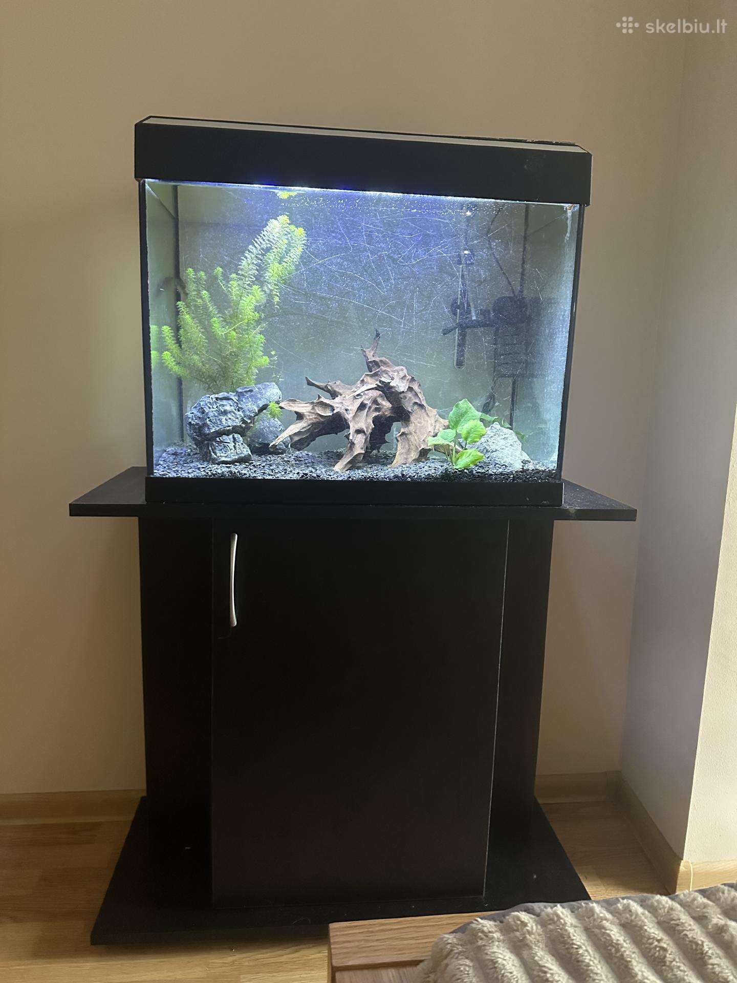 Akvariumas su spintele