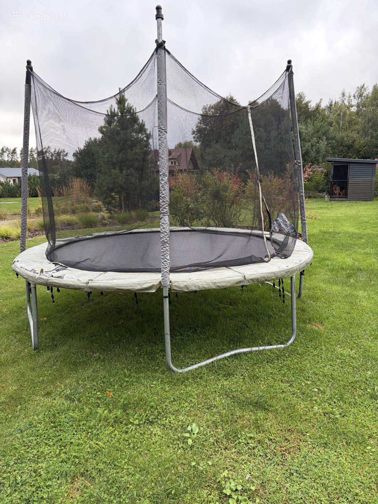 Batutas 250 cm