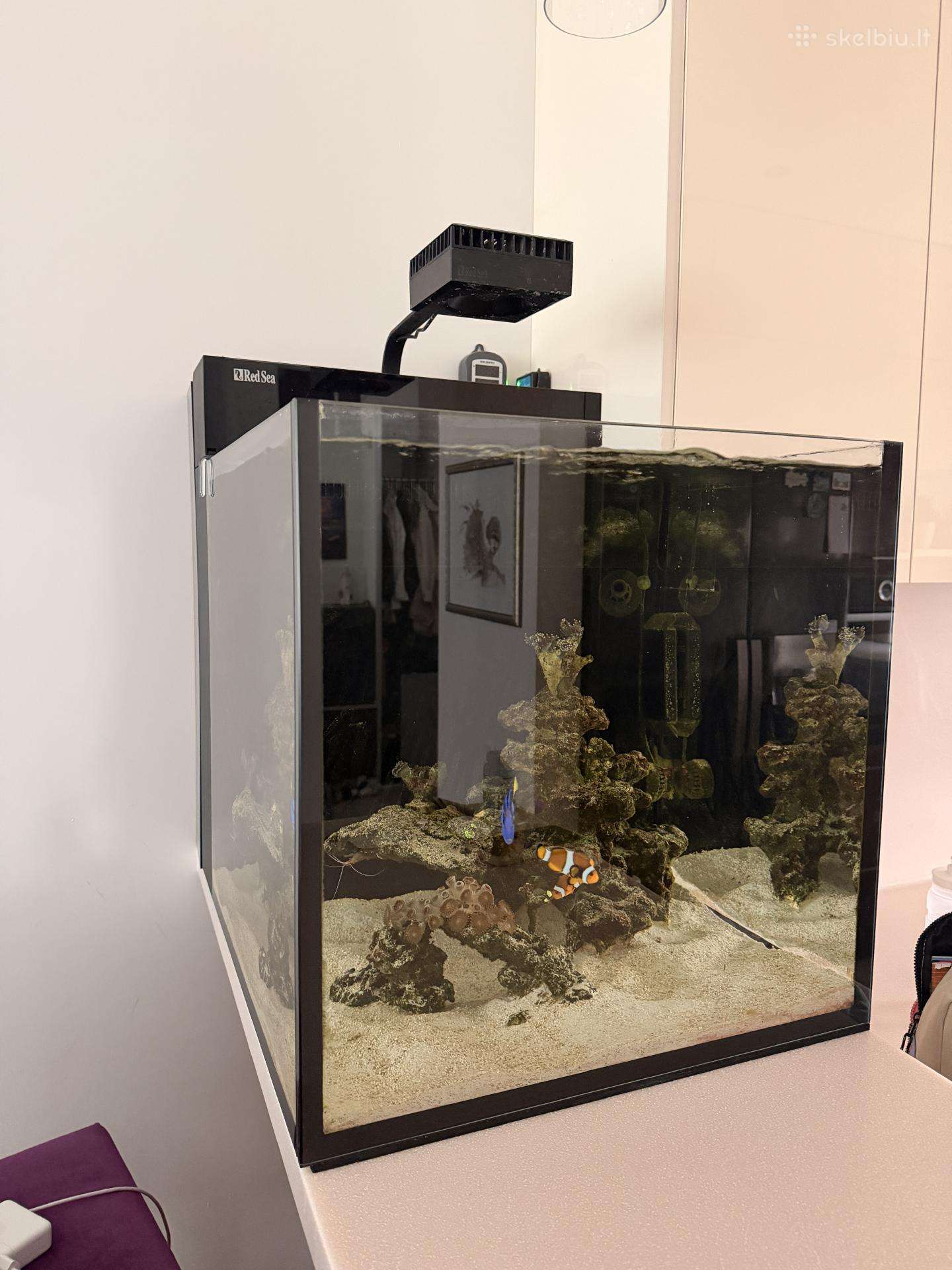 Jūrinis akvariumas Red Sea max nano g2 XL (125l)