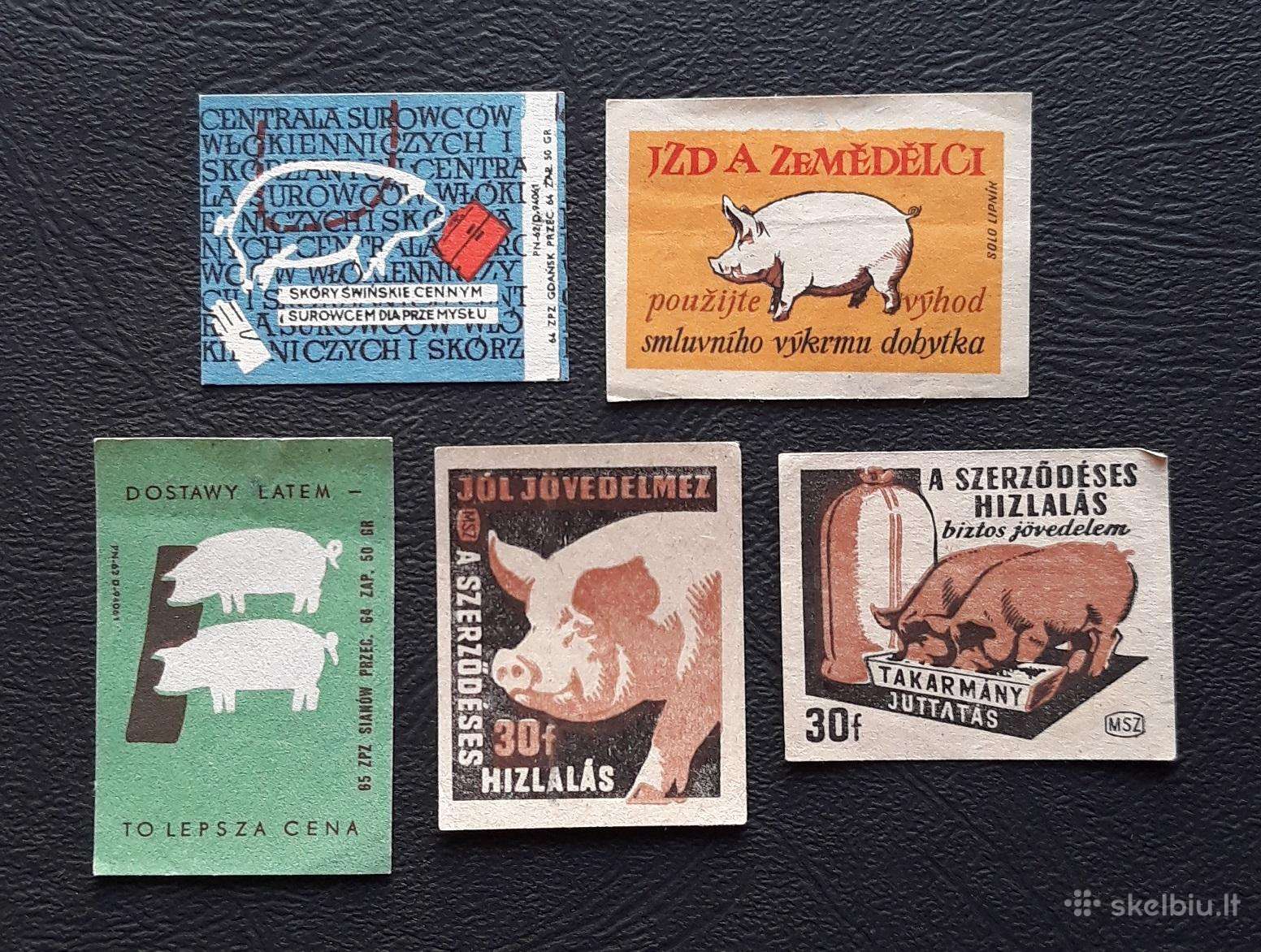 Degtukų etiketė Kiaulės 5vnt Wildlife