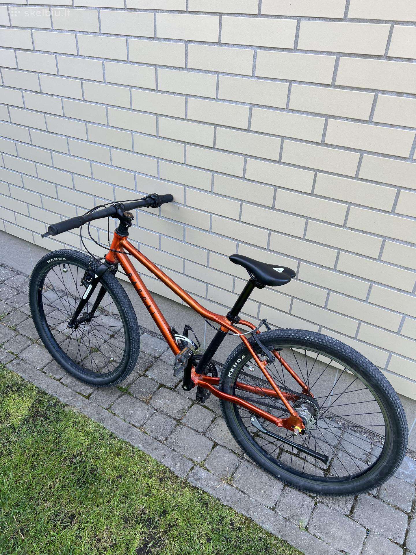 Kid bike BOSCH 24″