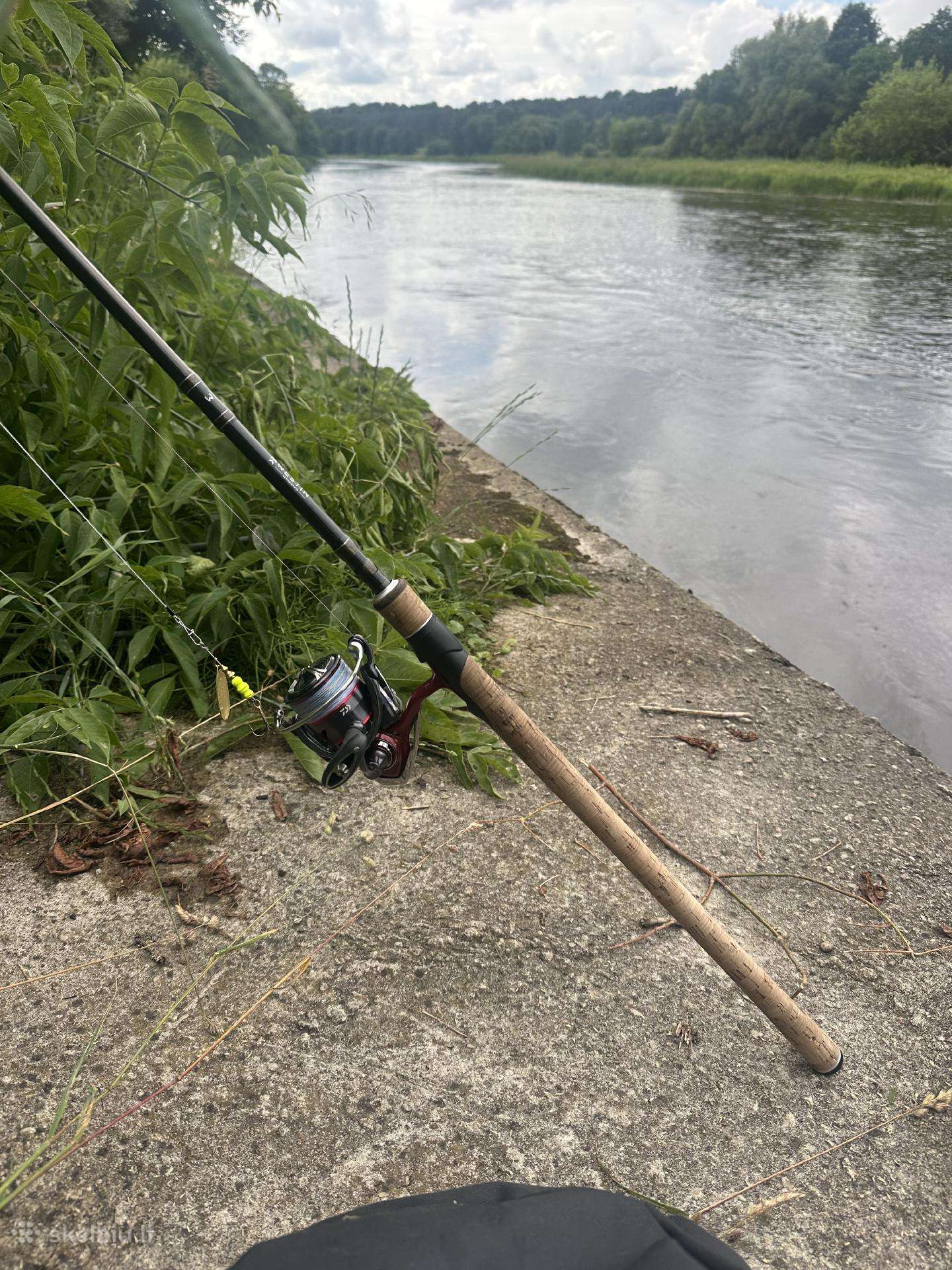 Daiwa Fuego rite 3000