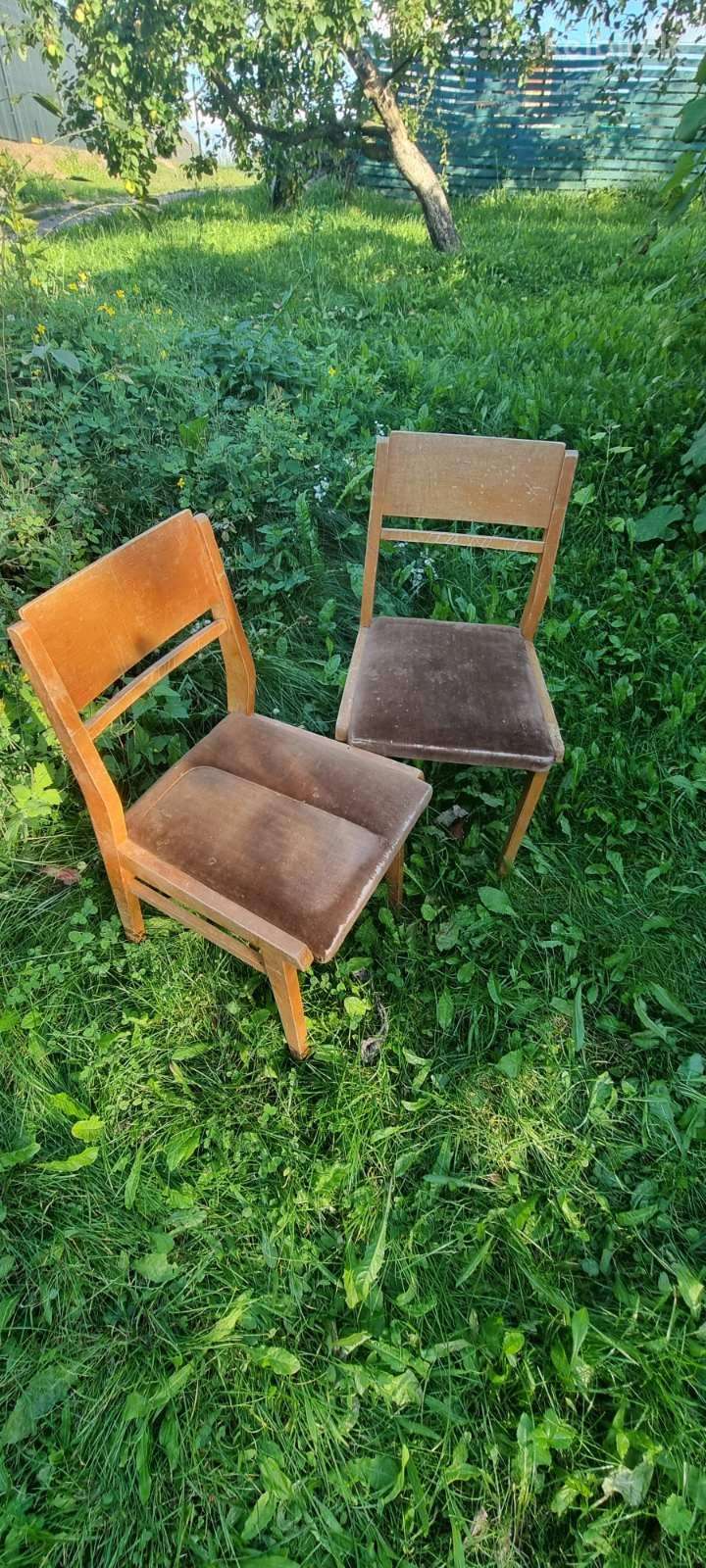 Antikvarines kedes