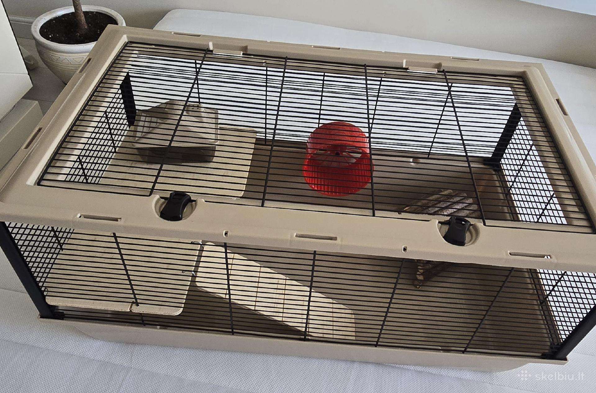 Narvas graužikui žiurkėnui Degu 783648