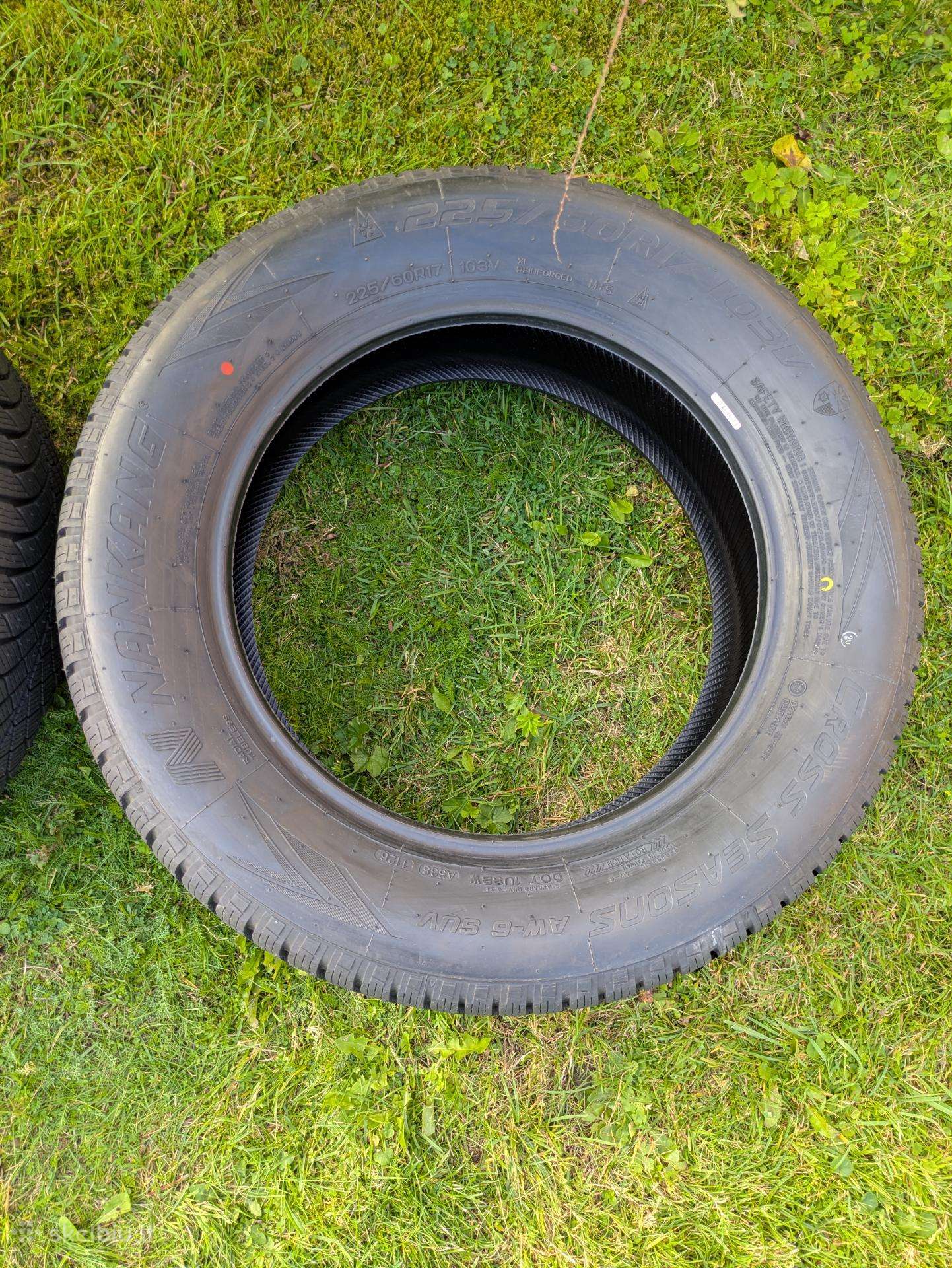 Nankang, winter 225/60 R17