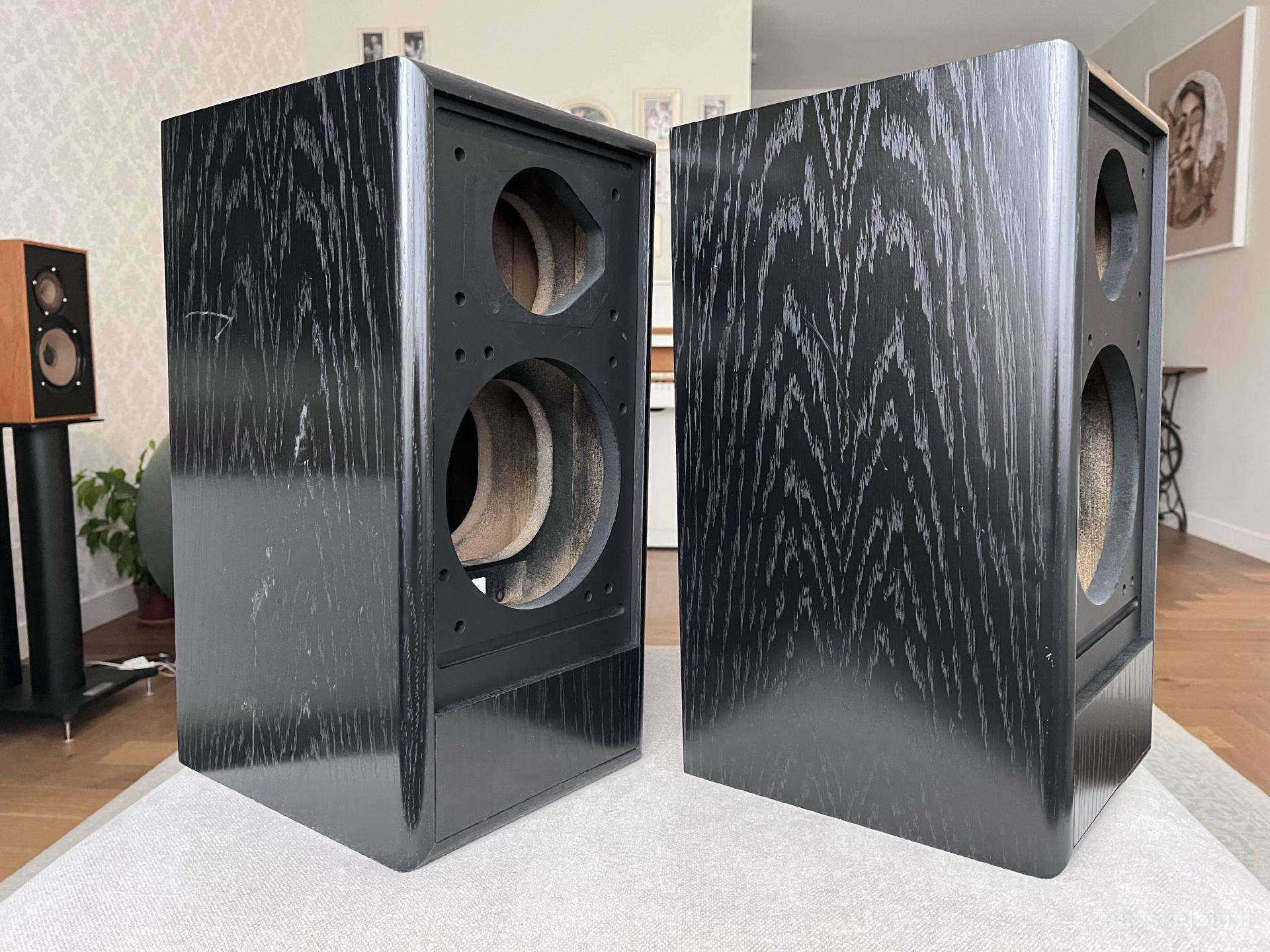 Celestion 100 korpusai Diy projektui