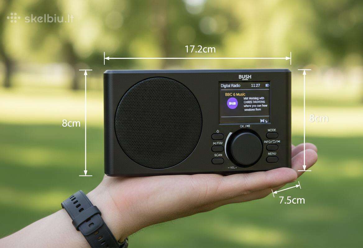 Nešiojamas radijas su žadintuvu Fm Bluetooth Dab+
