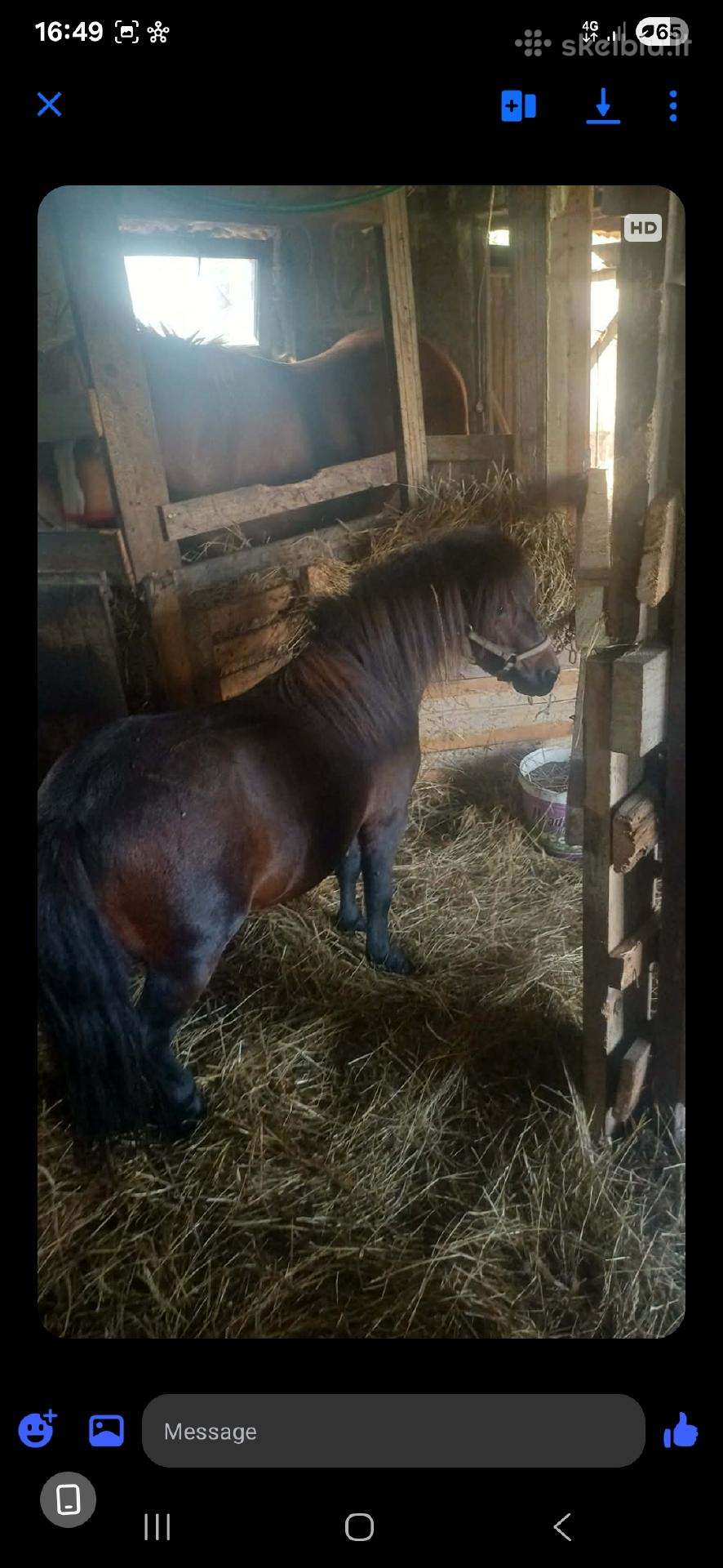 Parduodu poni erziliuka