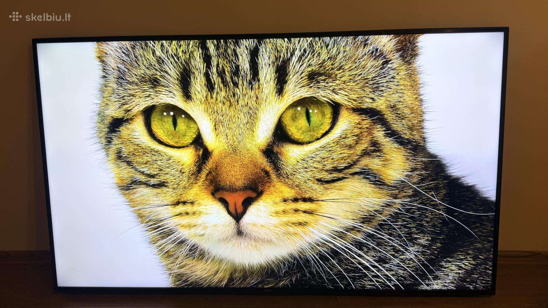 Sony Kd-65x80j su defektu 4k Bravia Hdr Android