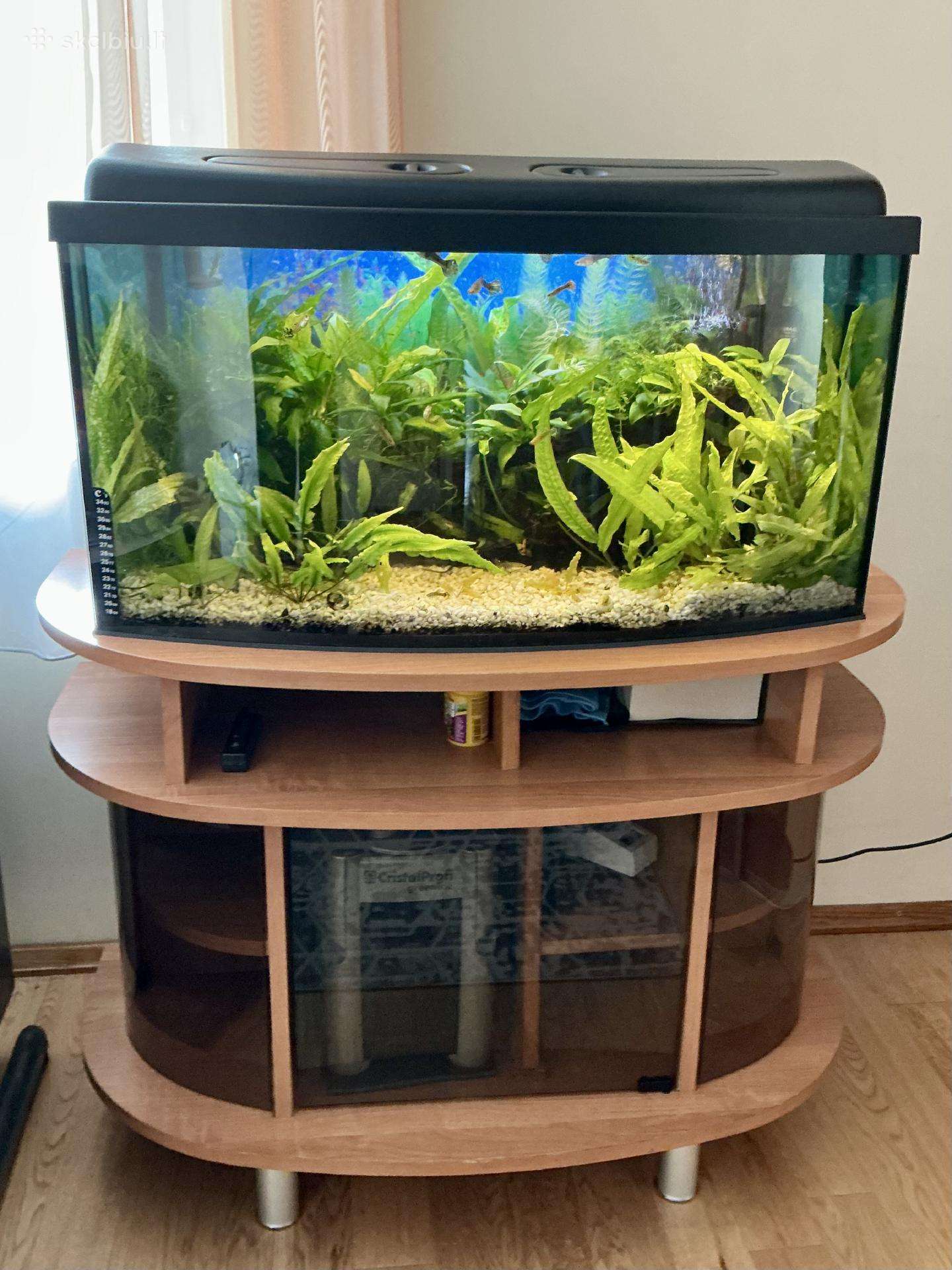 Pilnai veikiantis 110 ltr. akvariumo komplektas