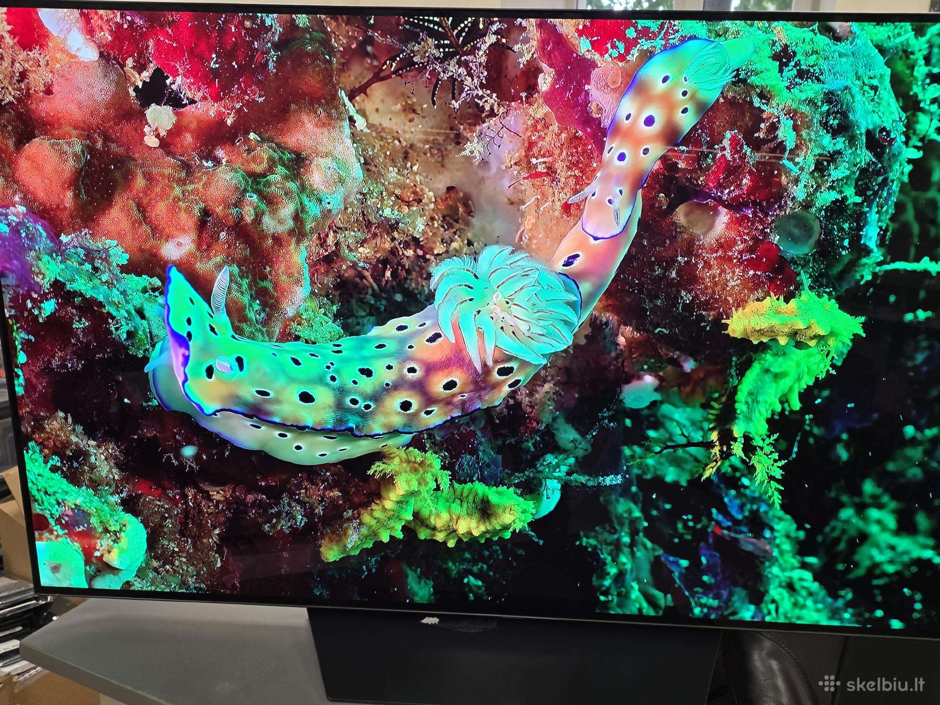 Naudotas Oled LG 48' televizorius