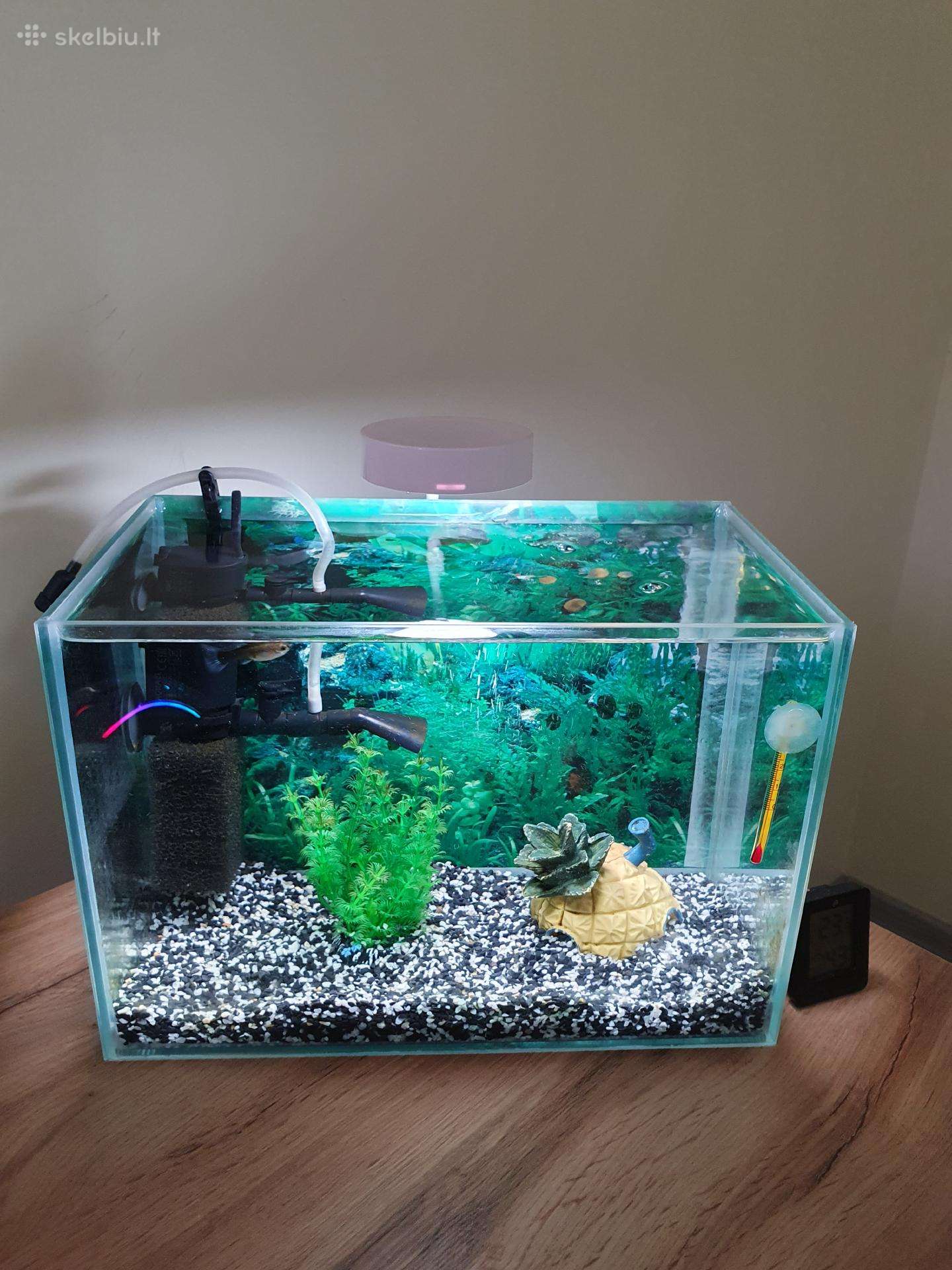 Akvariumas su pilna įranga