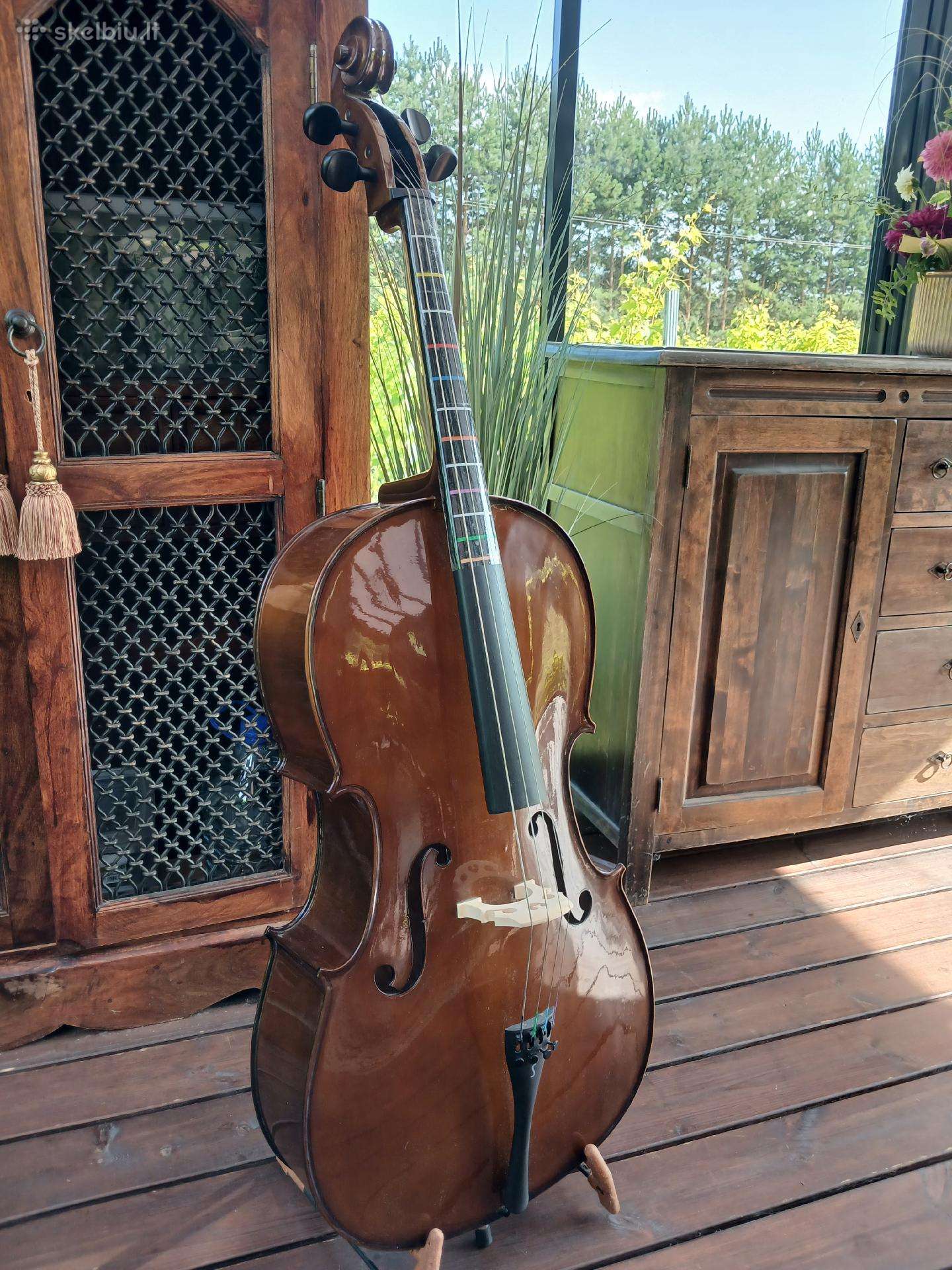 Violančelė Stentor