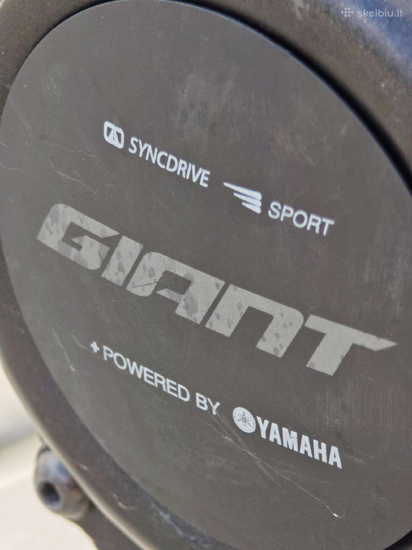 Electric bike Giant