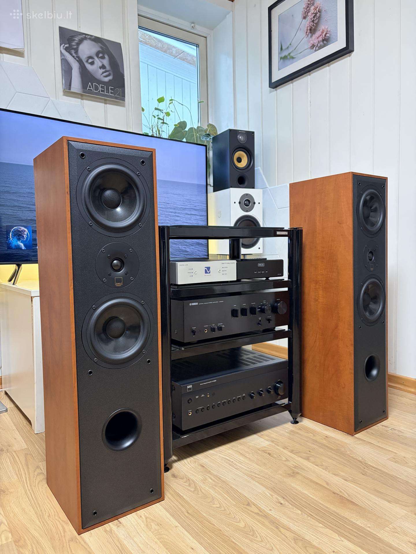Dali 5005 Limited Edition (Made in Denmark)