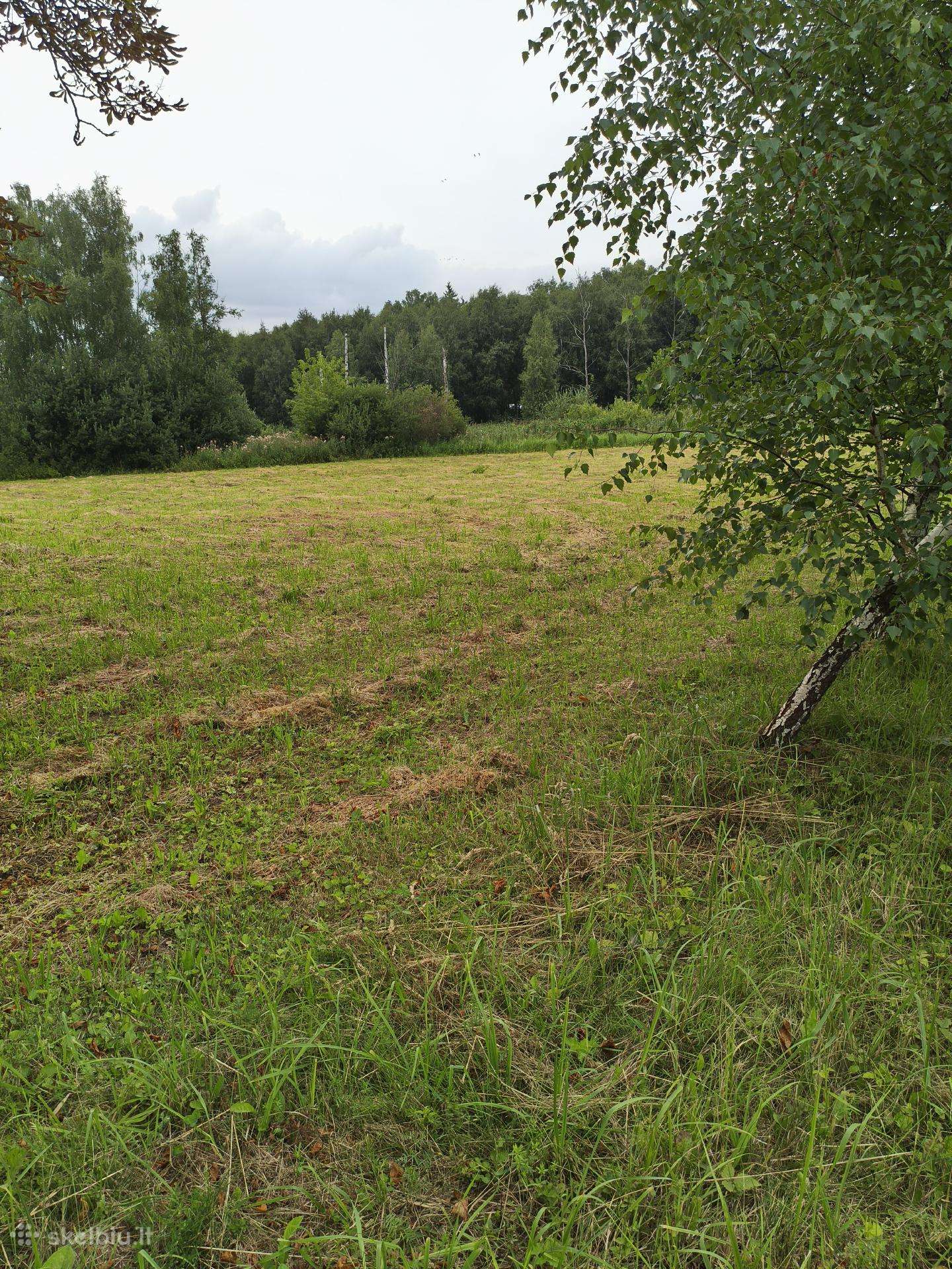 Nekilnojamas turtas
