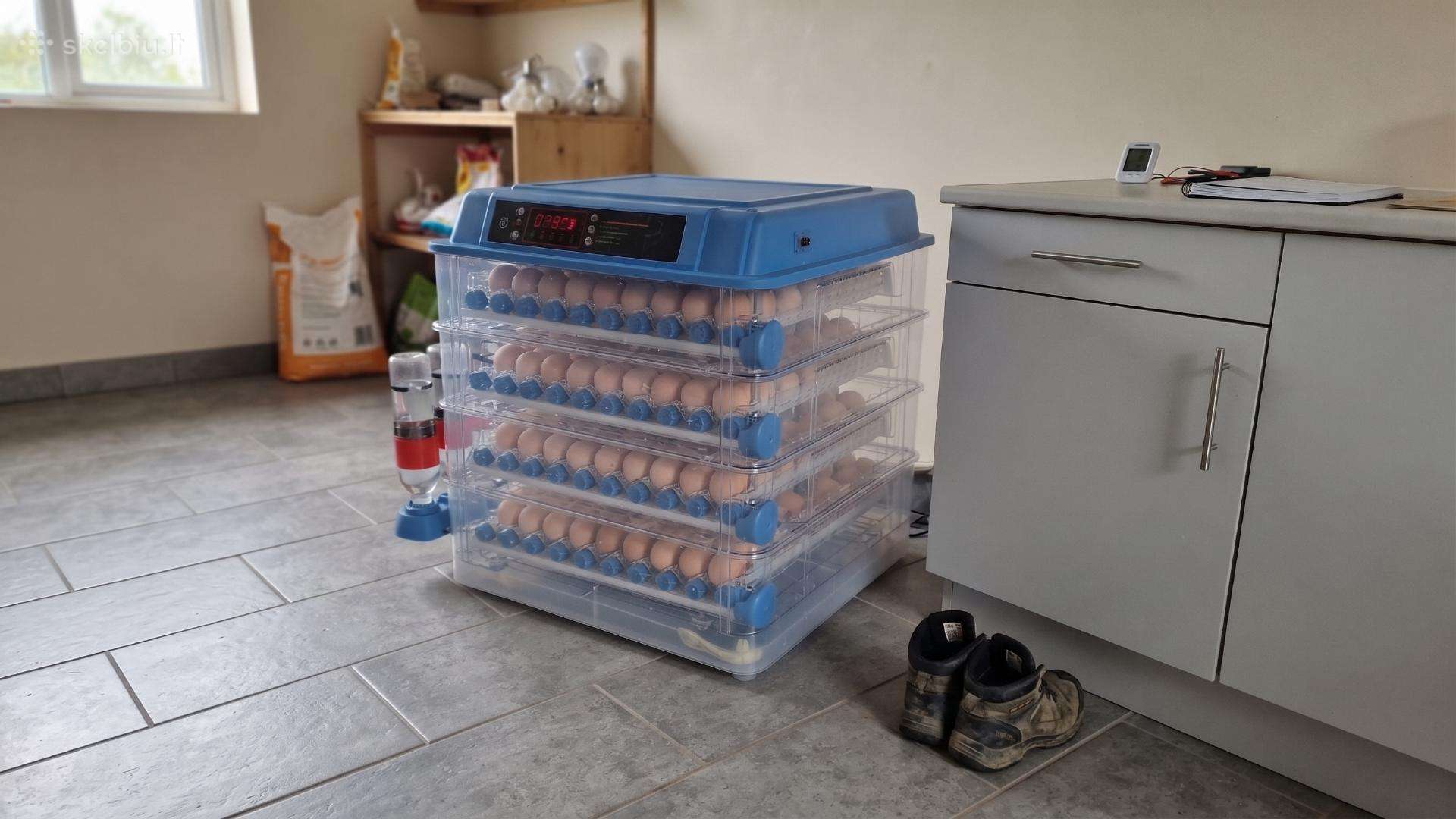 220 kiaušinių perinimo Inkubatorius, automatinis