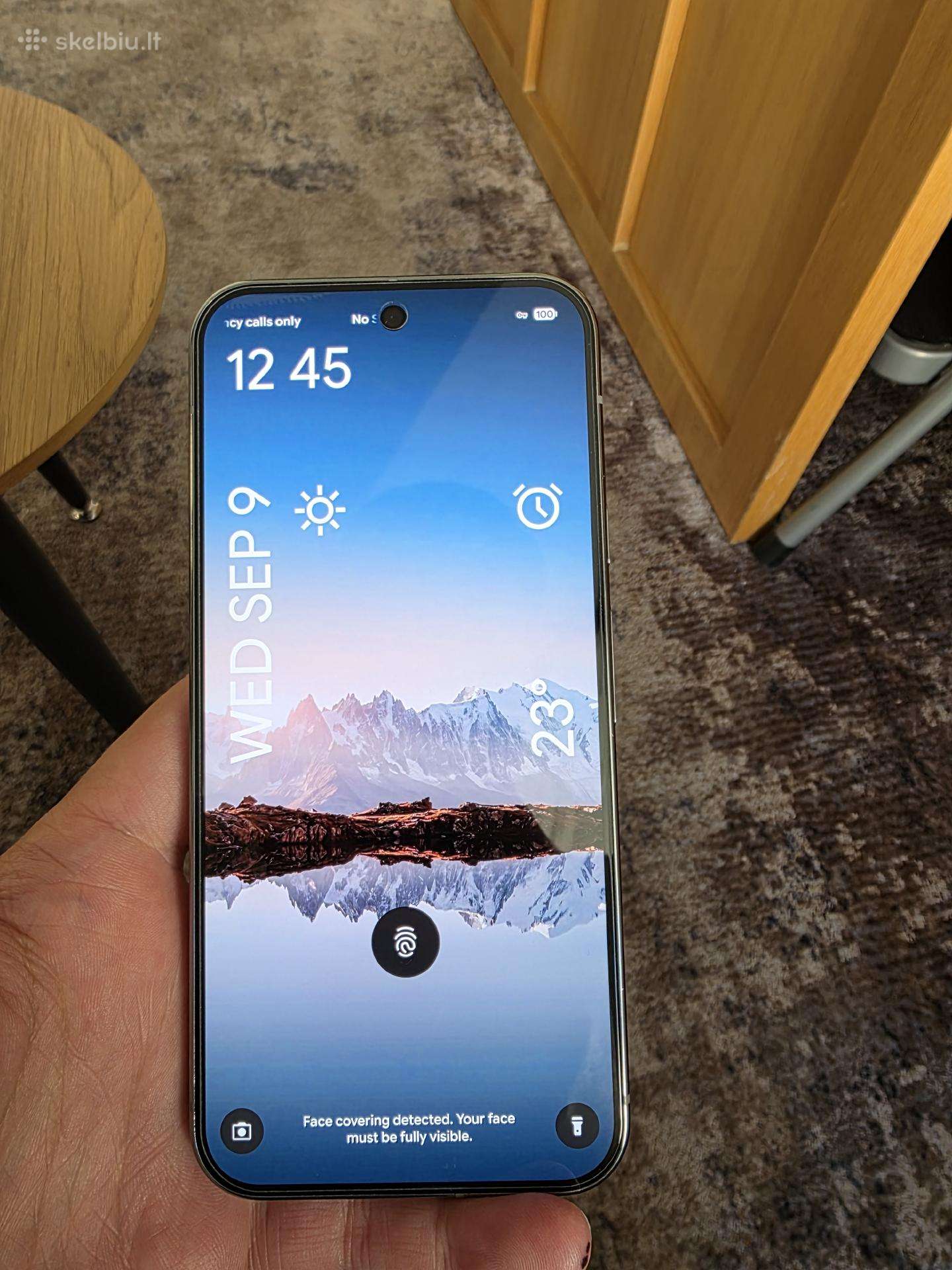 Google Pixel 9 Pro XL 256 GB