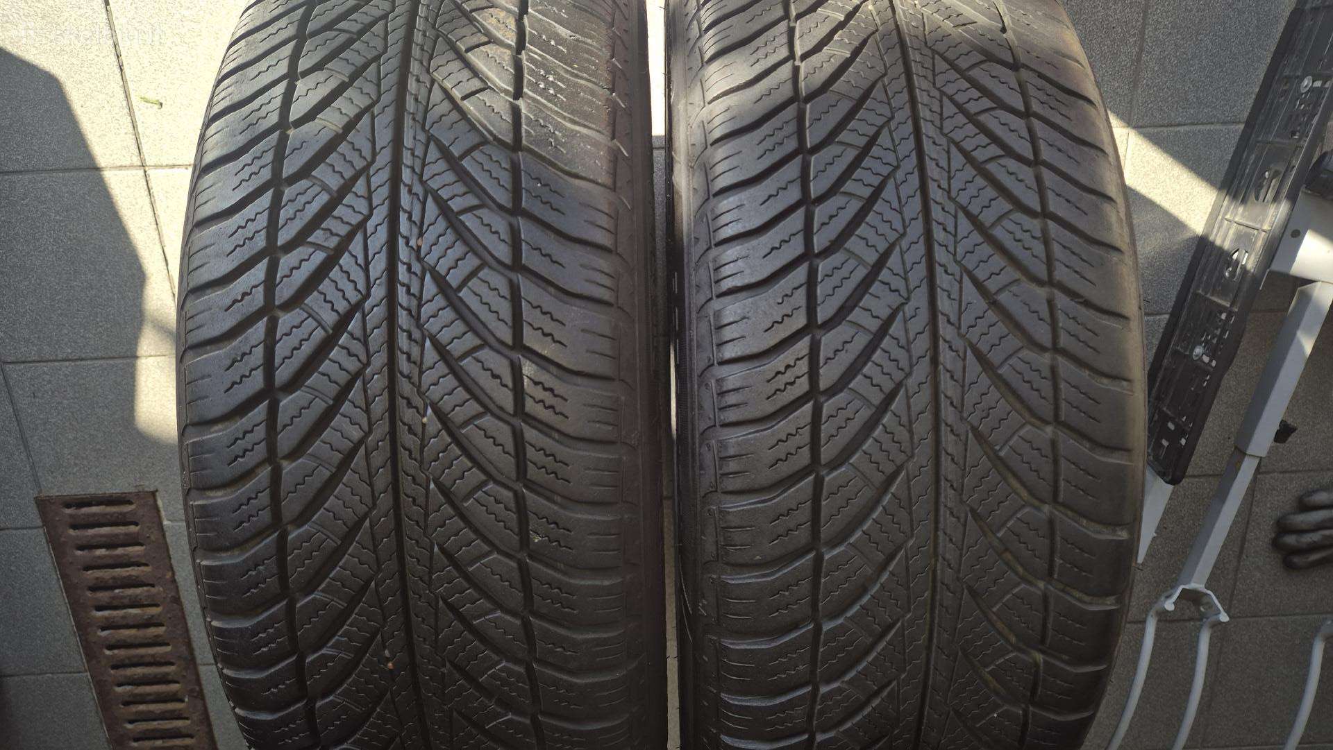 Dvi geros 205/55 R16 Good Year