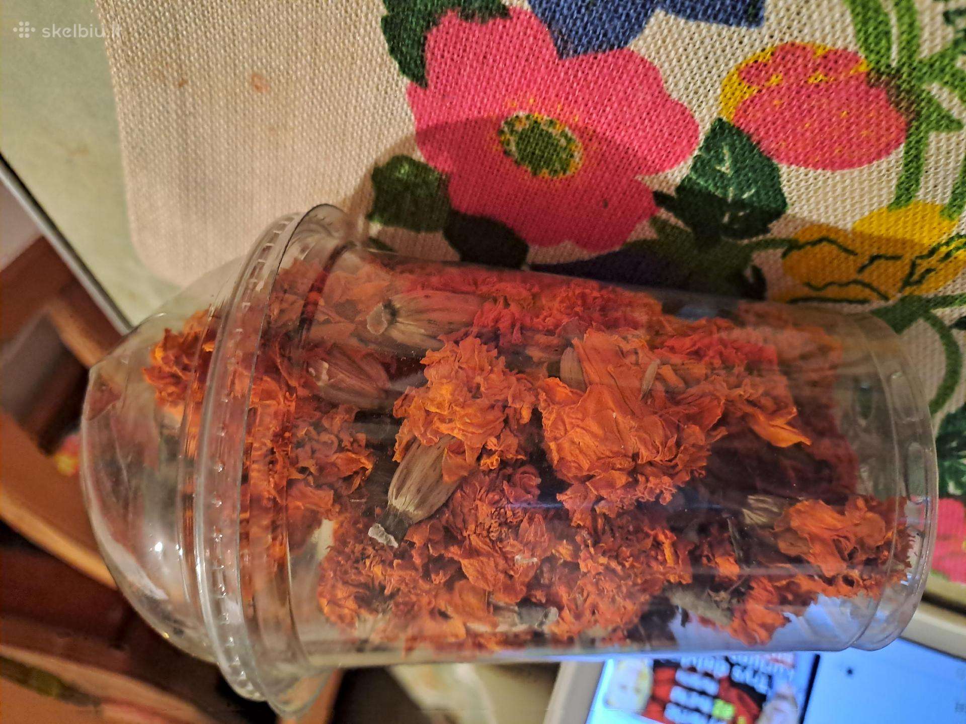 Serentis arbata