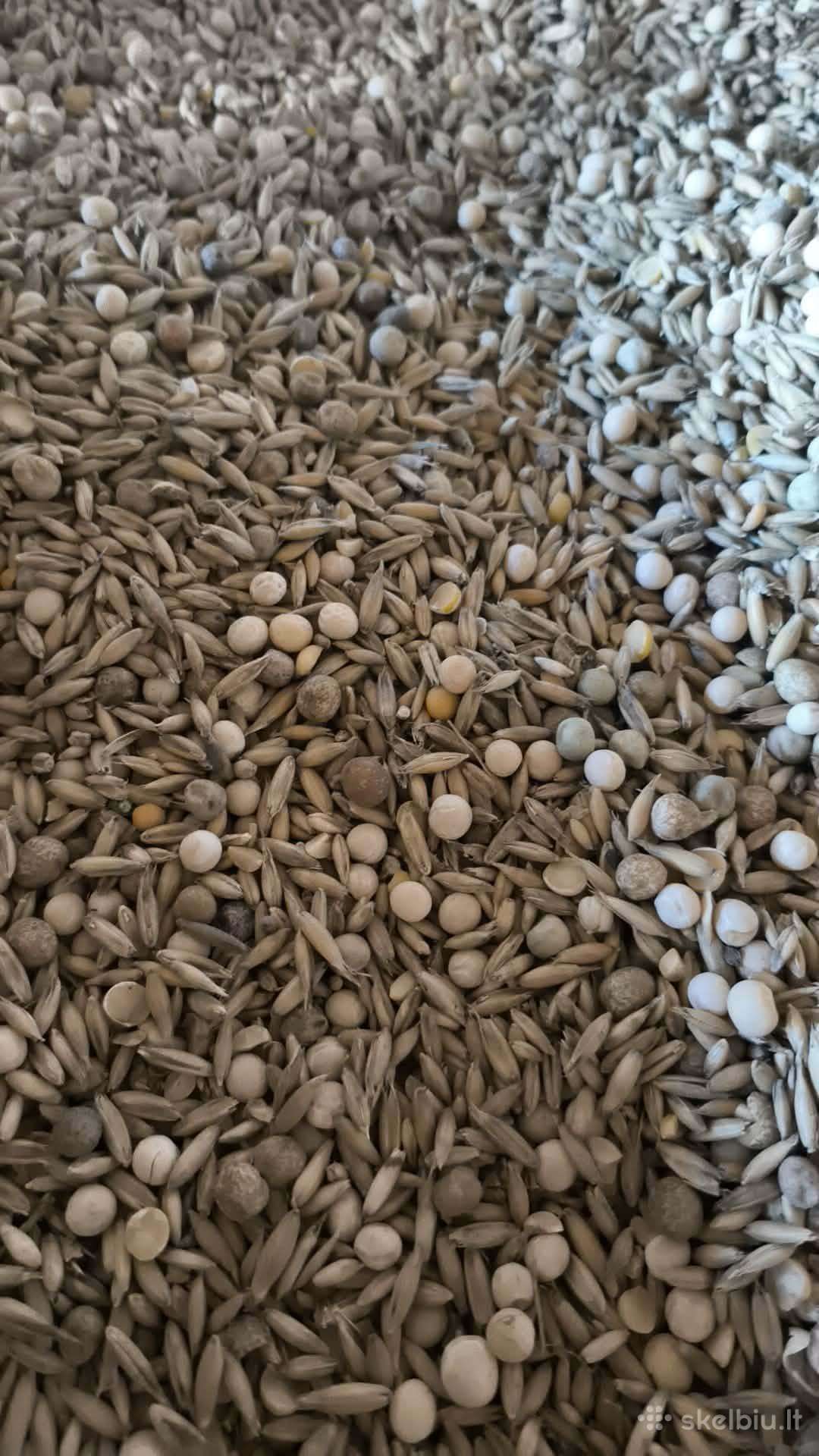 Mišinys