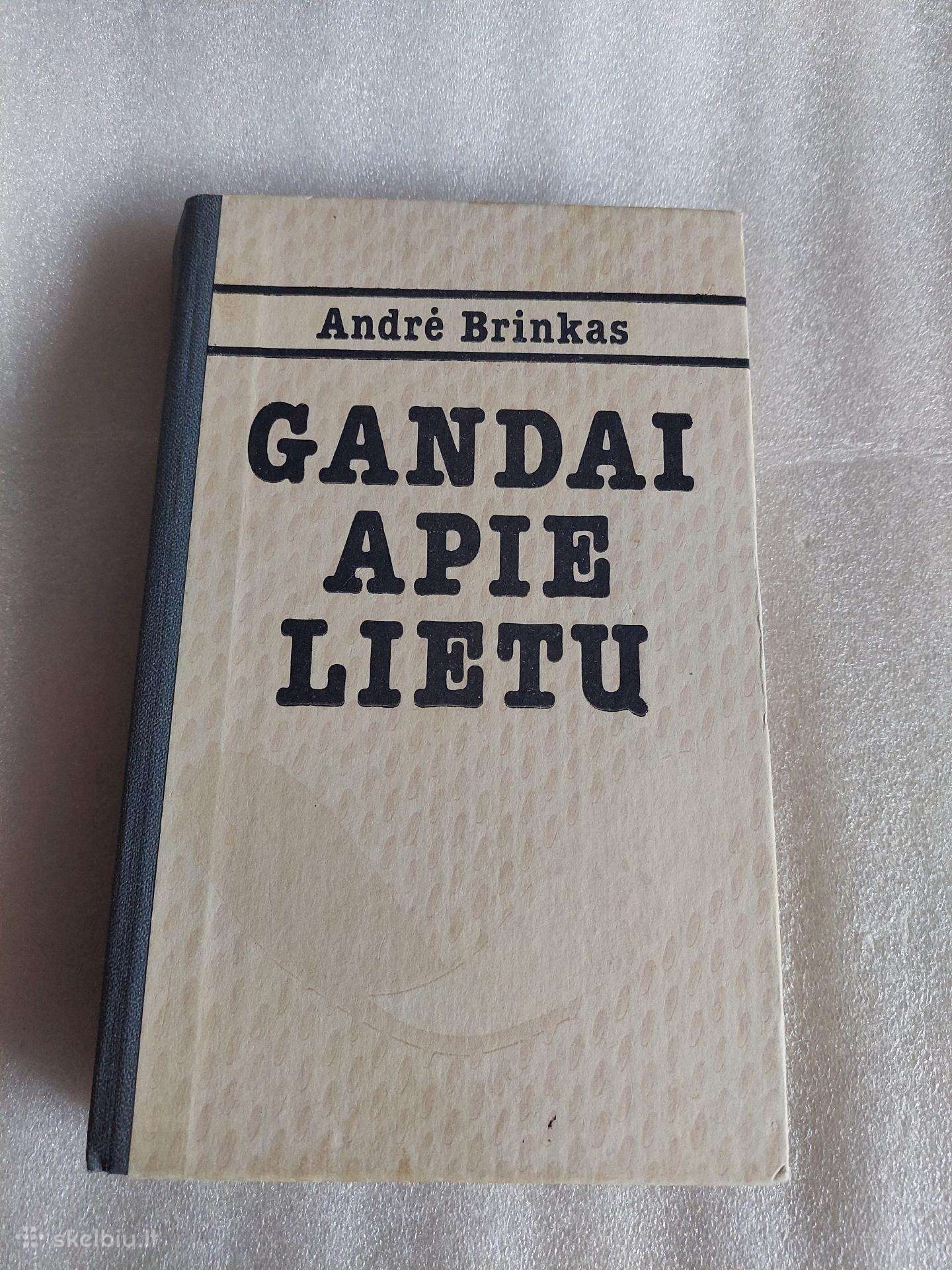 Gandai apie lietų
