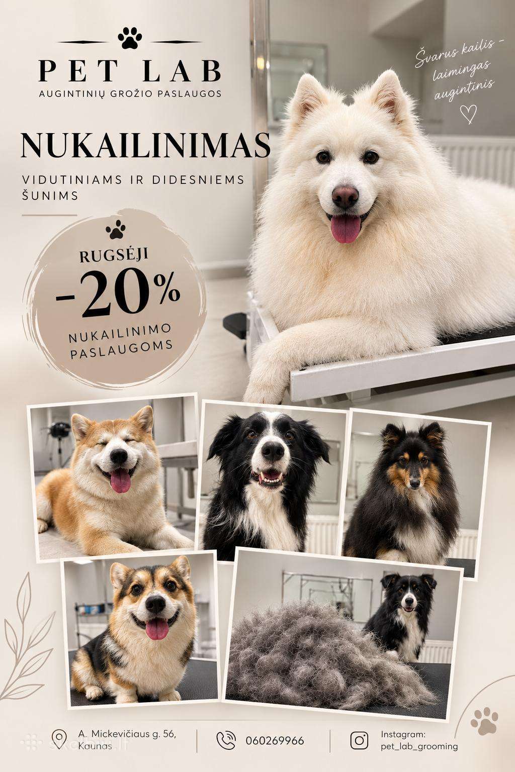 Kačių ir šunų kirpimas Kaune