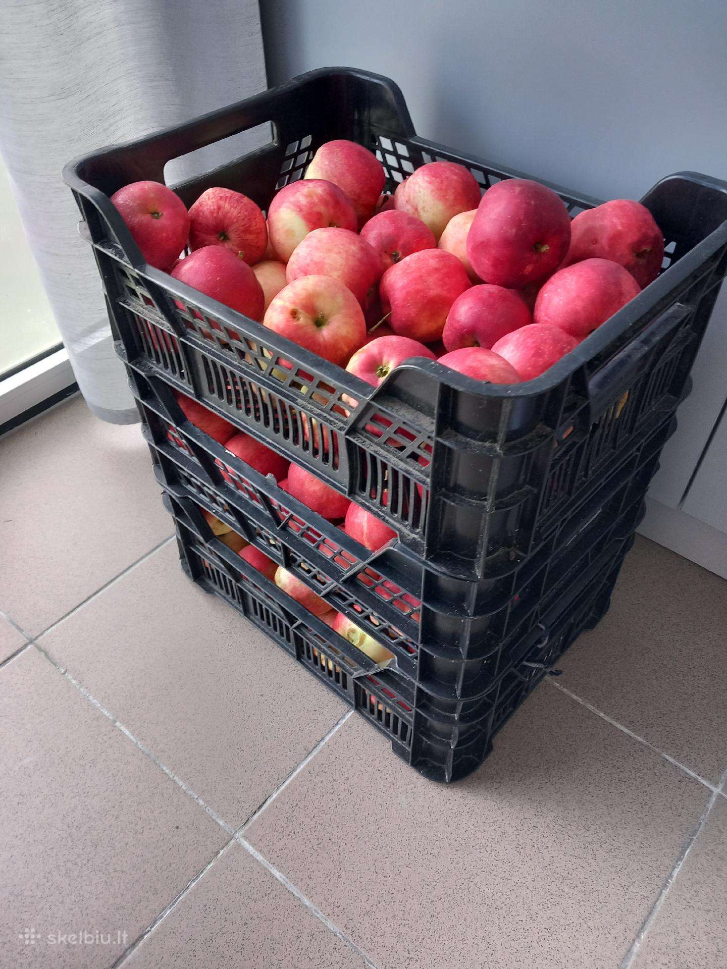 Obuoliai sultims spausti