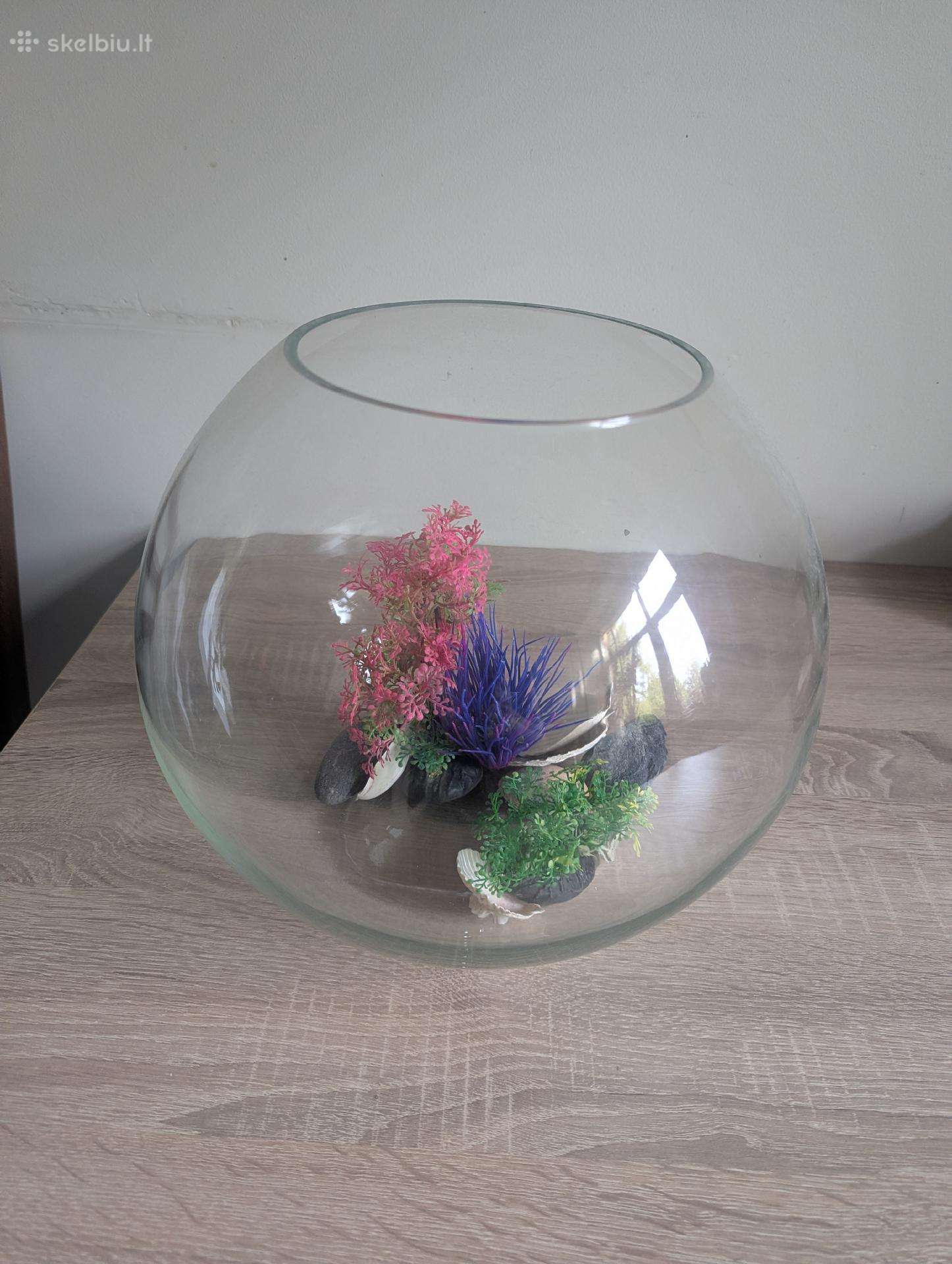 Stiklinis akvariumas