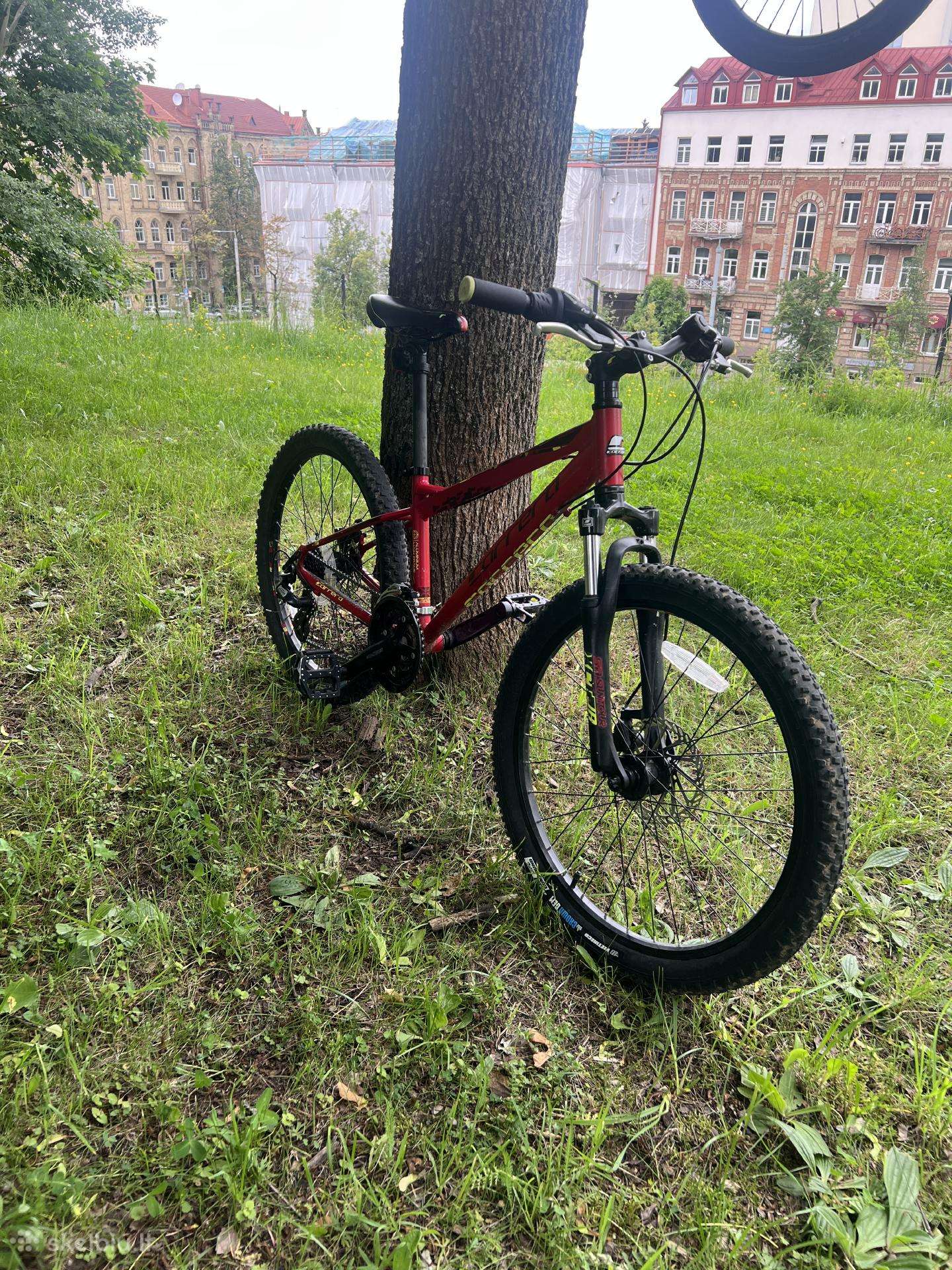 Carrera junior blast 24 inch