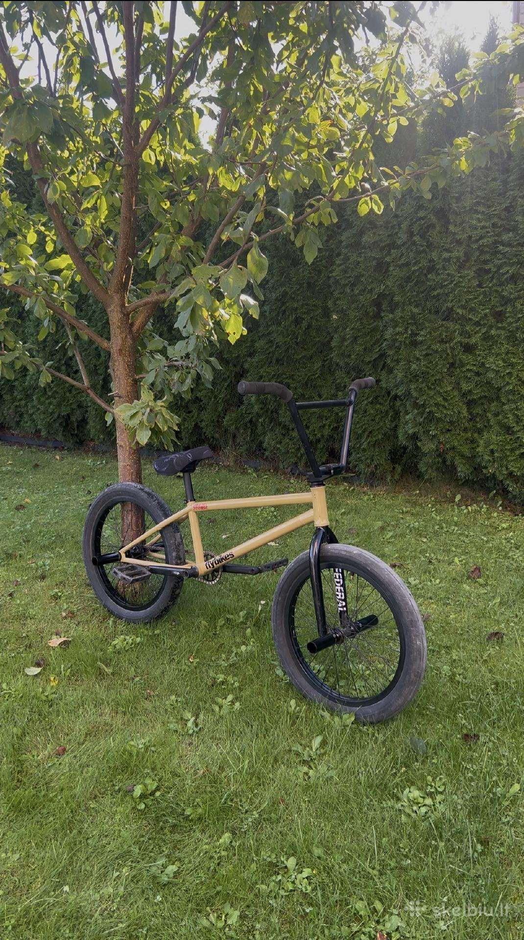 Custom BMX
