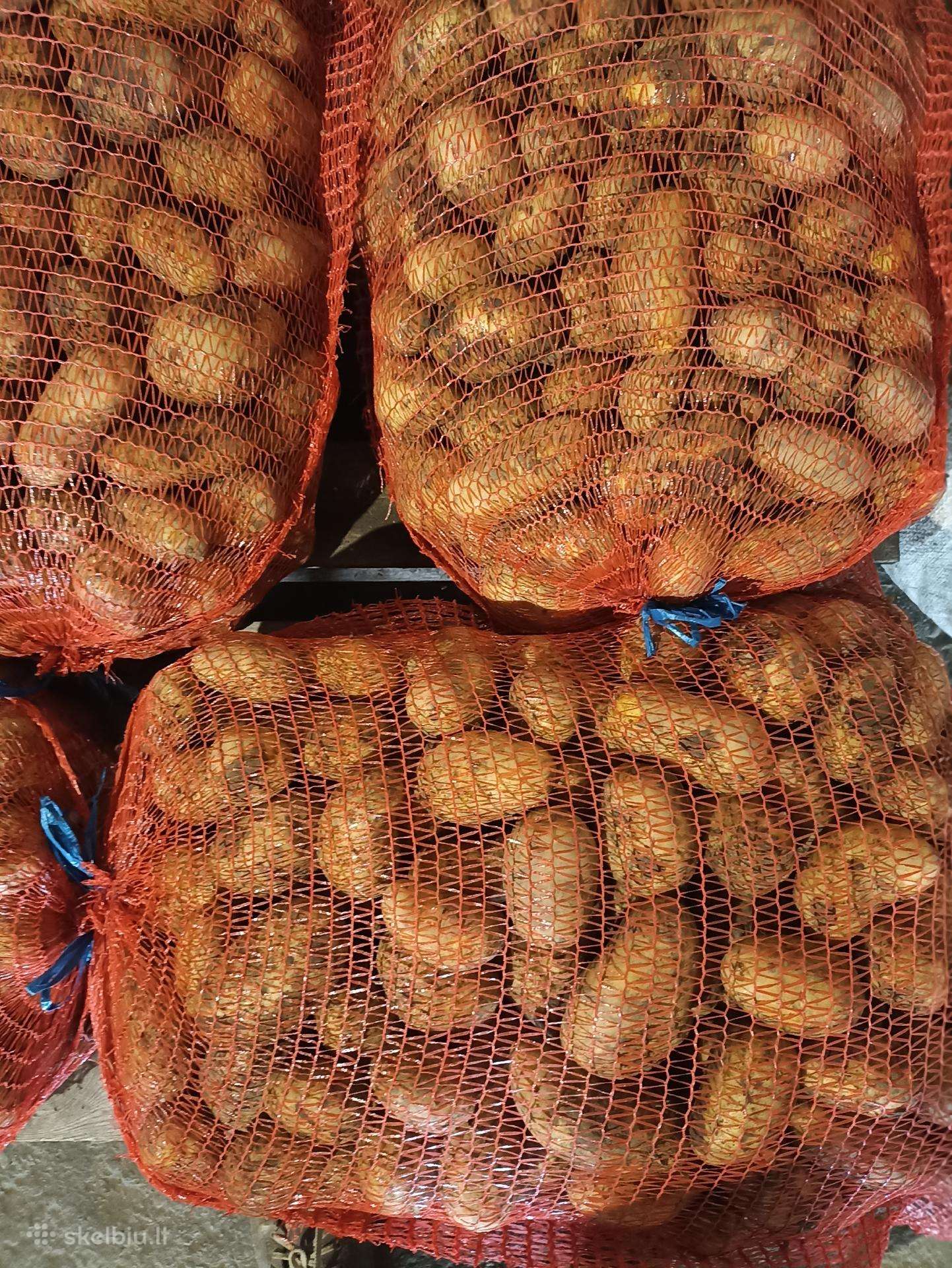 ,kopustai,burokeliai,bulves Nixe,morkos