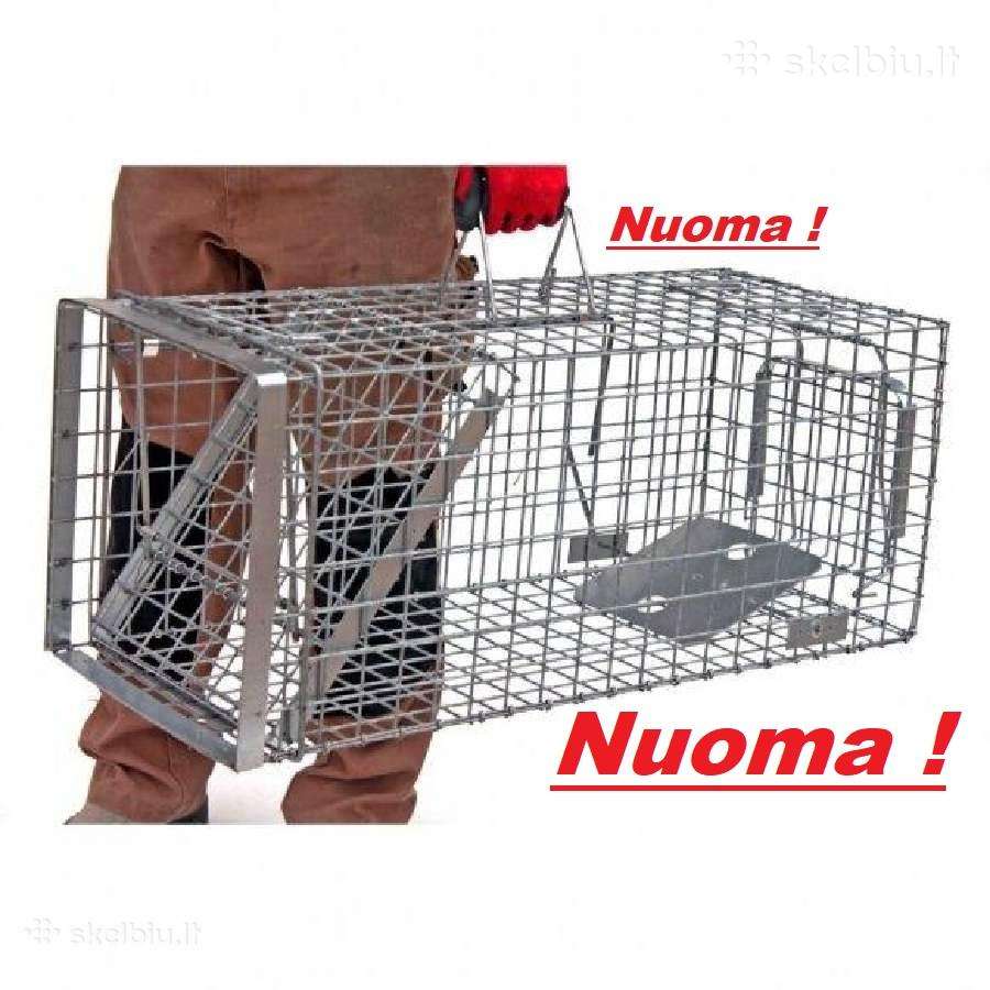 Spąstai katėms gyvagaudžiai laukiniams gyvūnams