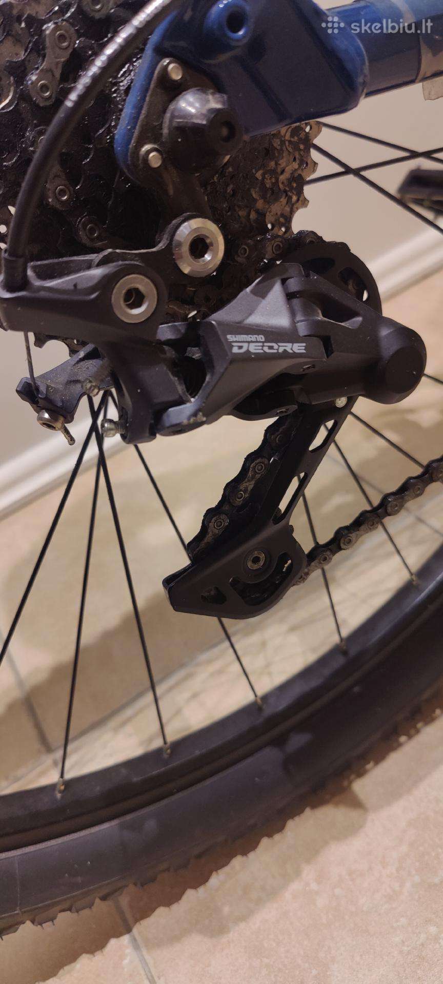 City bike Focus 29″