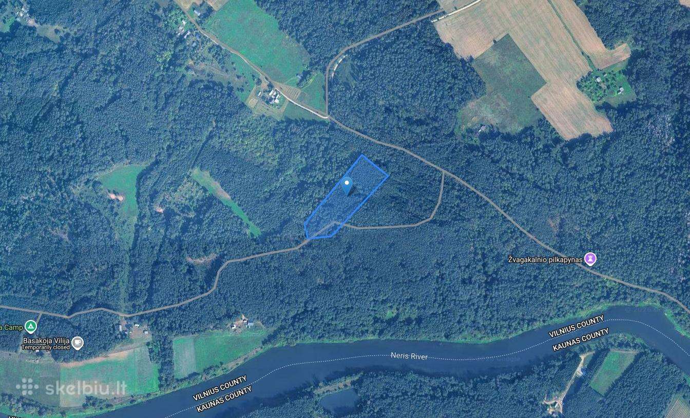 Parduodamas 2,02 ha pušynas Širvintų rajone