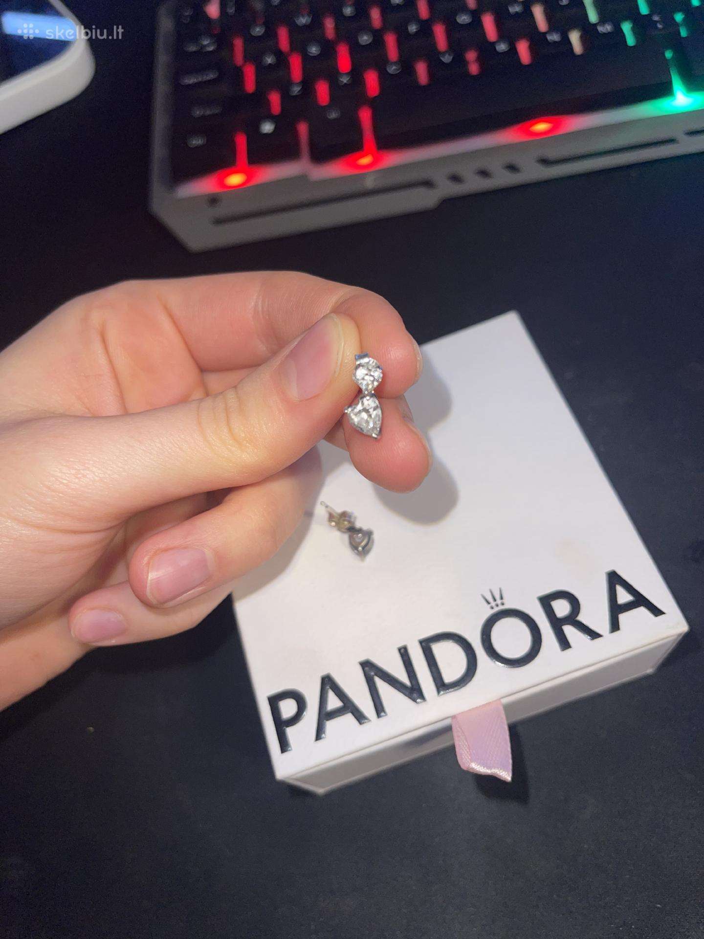 Pandora sidabriniai auskarai